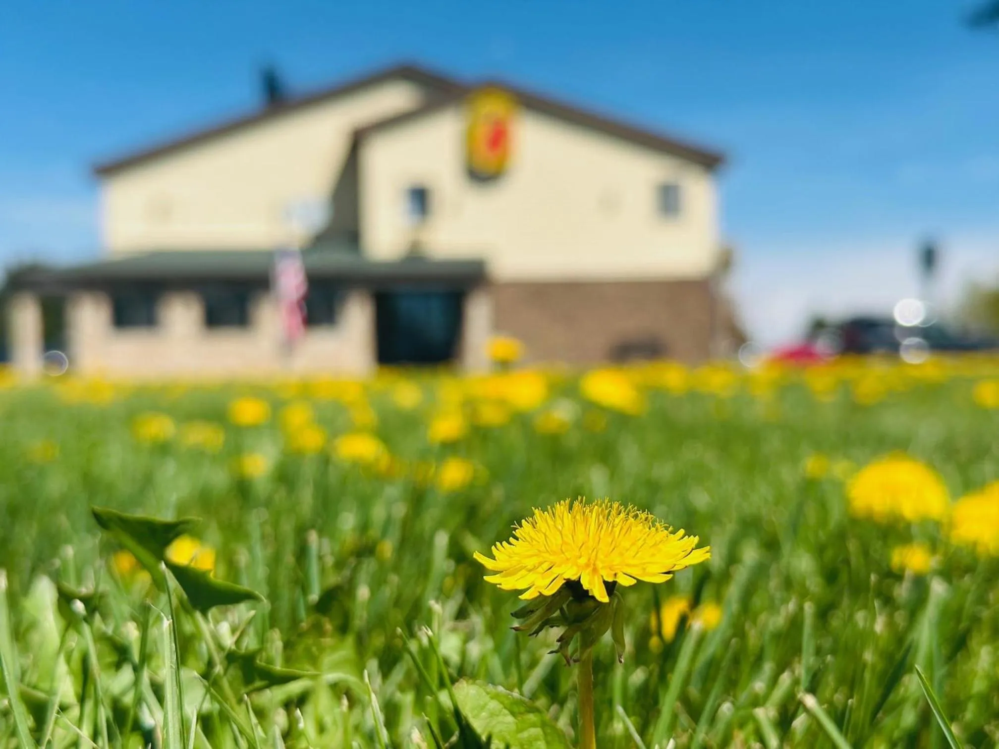 Super 8 by Wyndham Imlay City