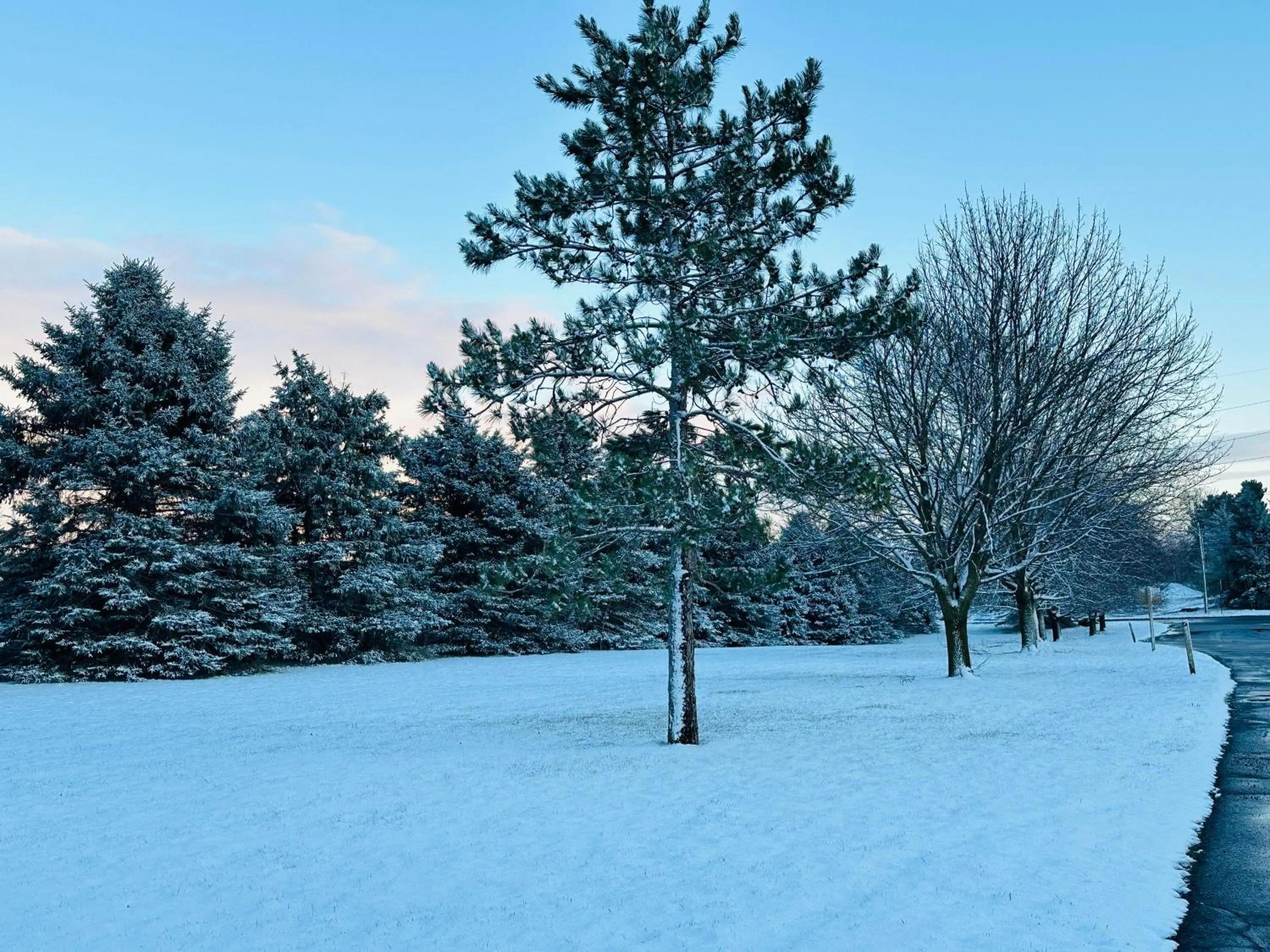 Natural landscape in Super 8 by Wyndham Imlay City