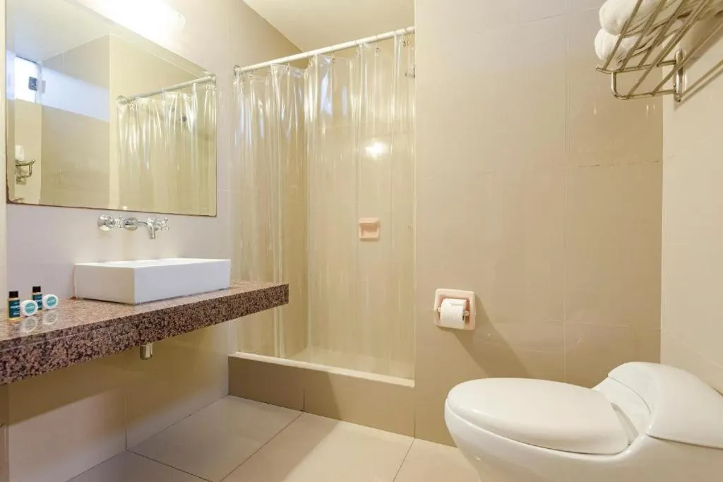 Shower in Hotel María Luisa