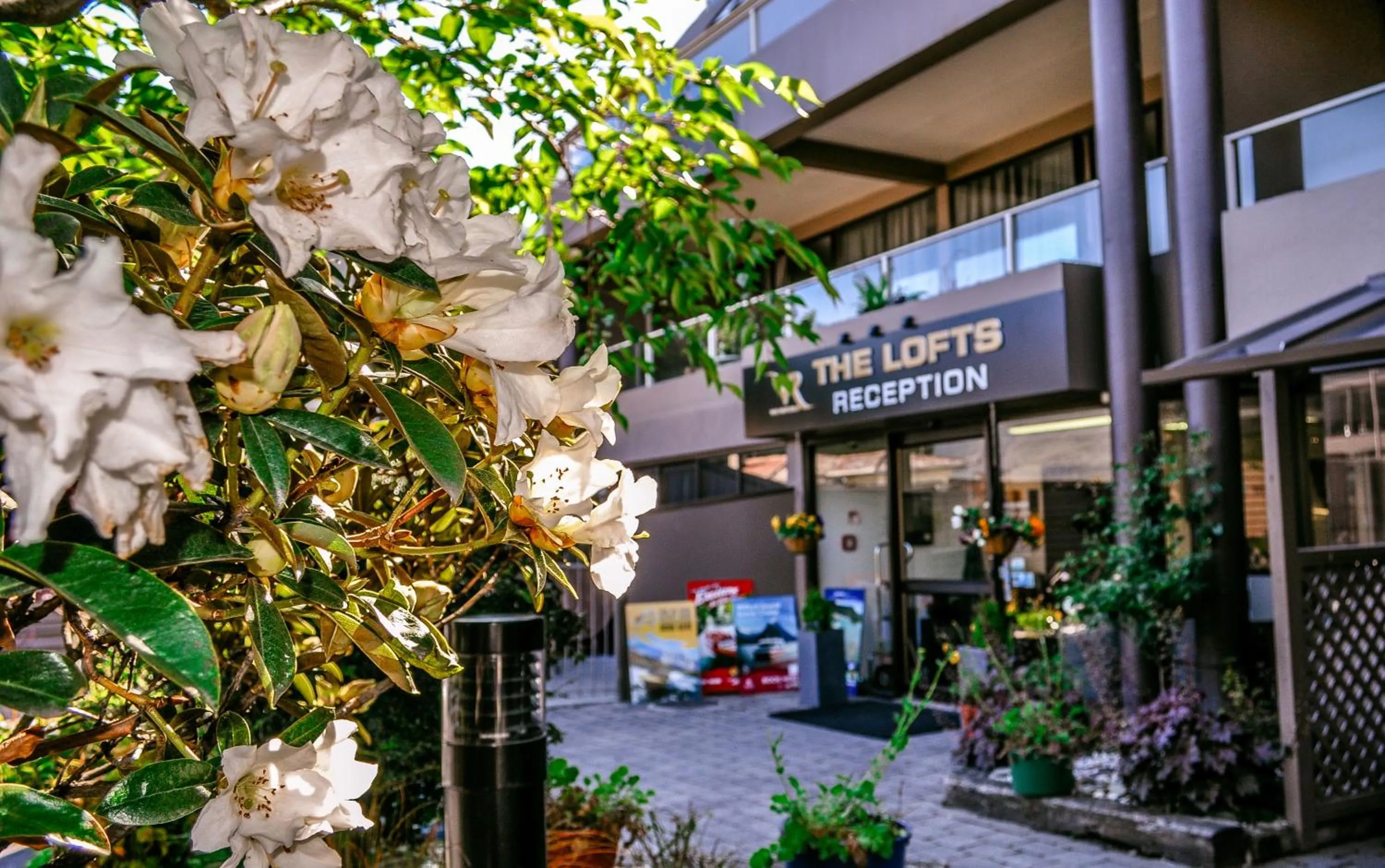 Facade/entrance in The Lofts Apartments
