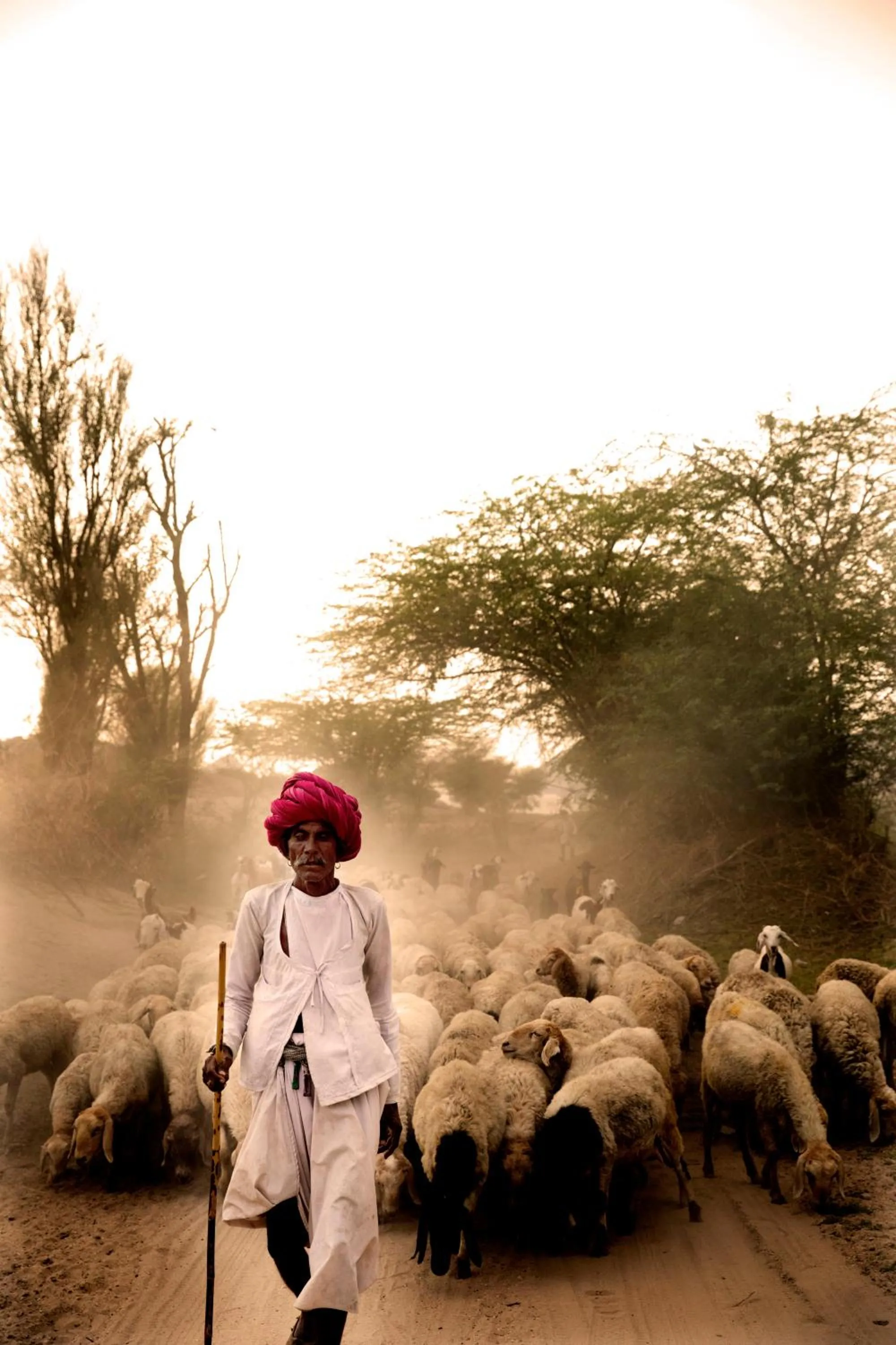 Area and facilities in Amritara Jawai Resort