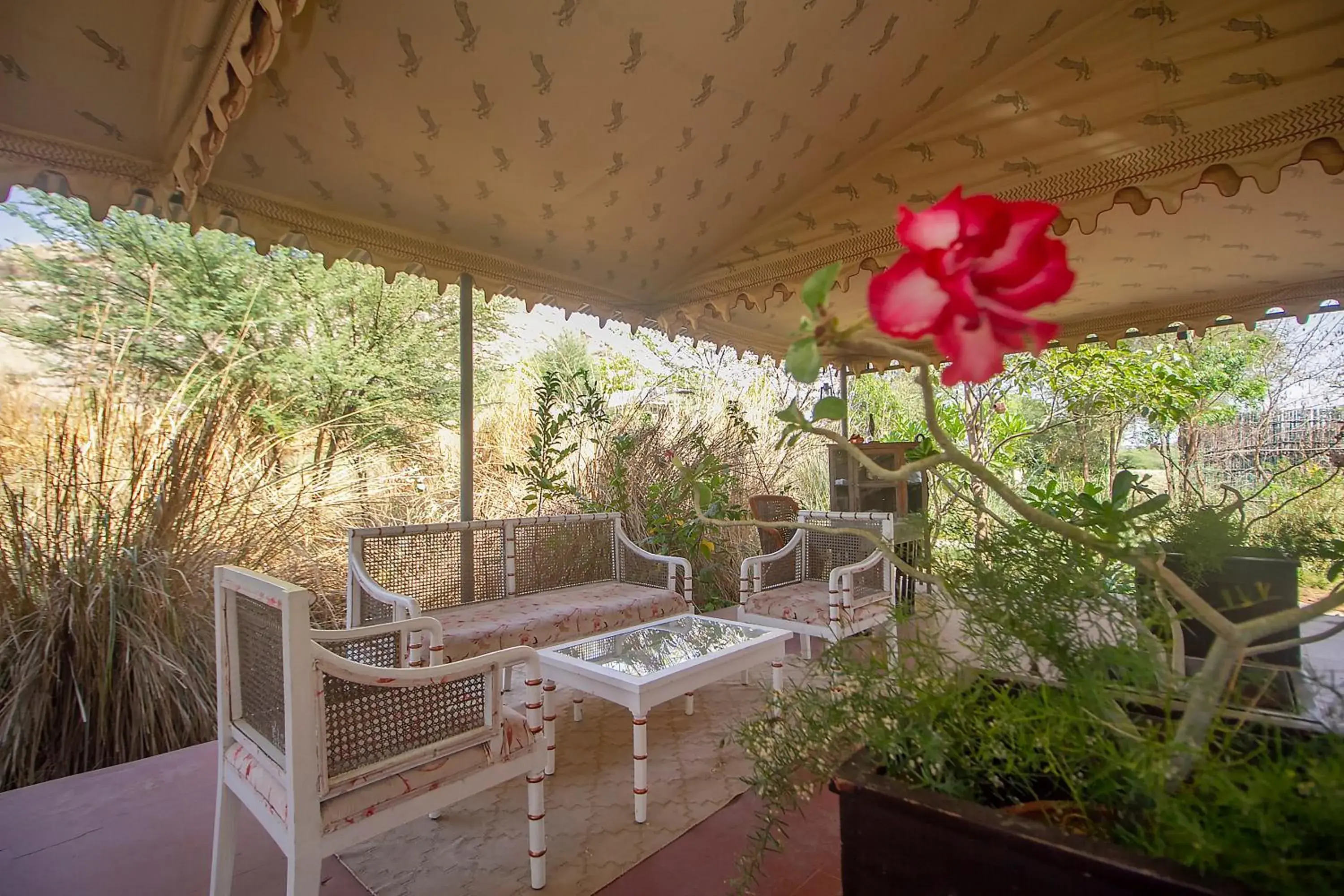 Lobby or reception in Amritara Jawai Resort Lobby or reception in Amritara Jawai Resort