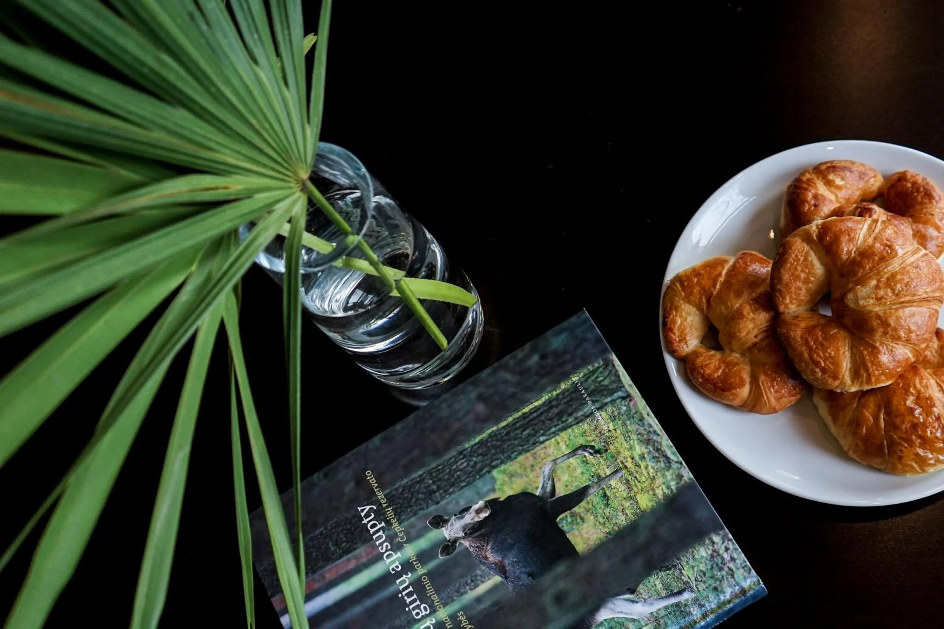 Food and drinks in Guest House Senasis Pastas