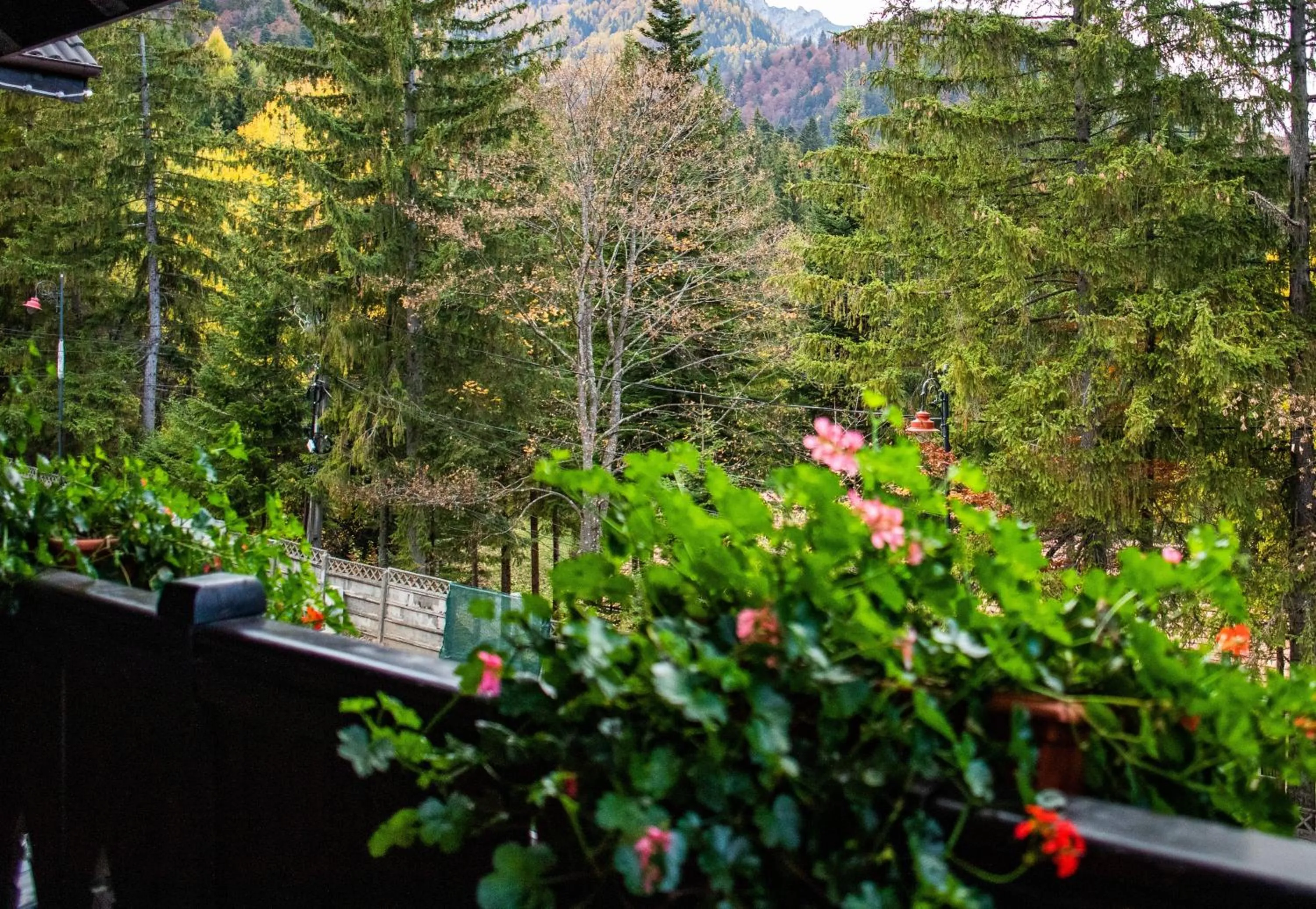 Day in Casa Iris-Hotel & Restaurant