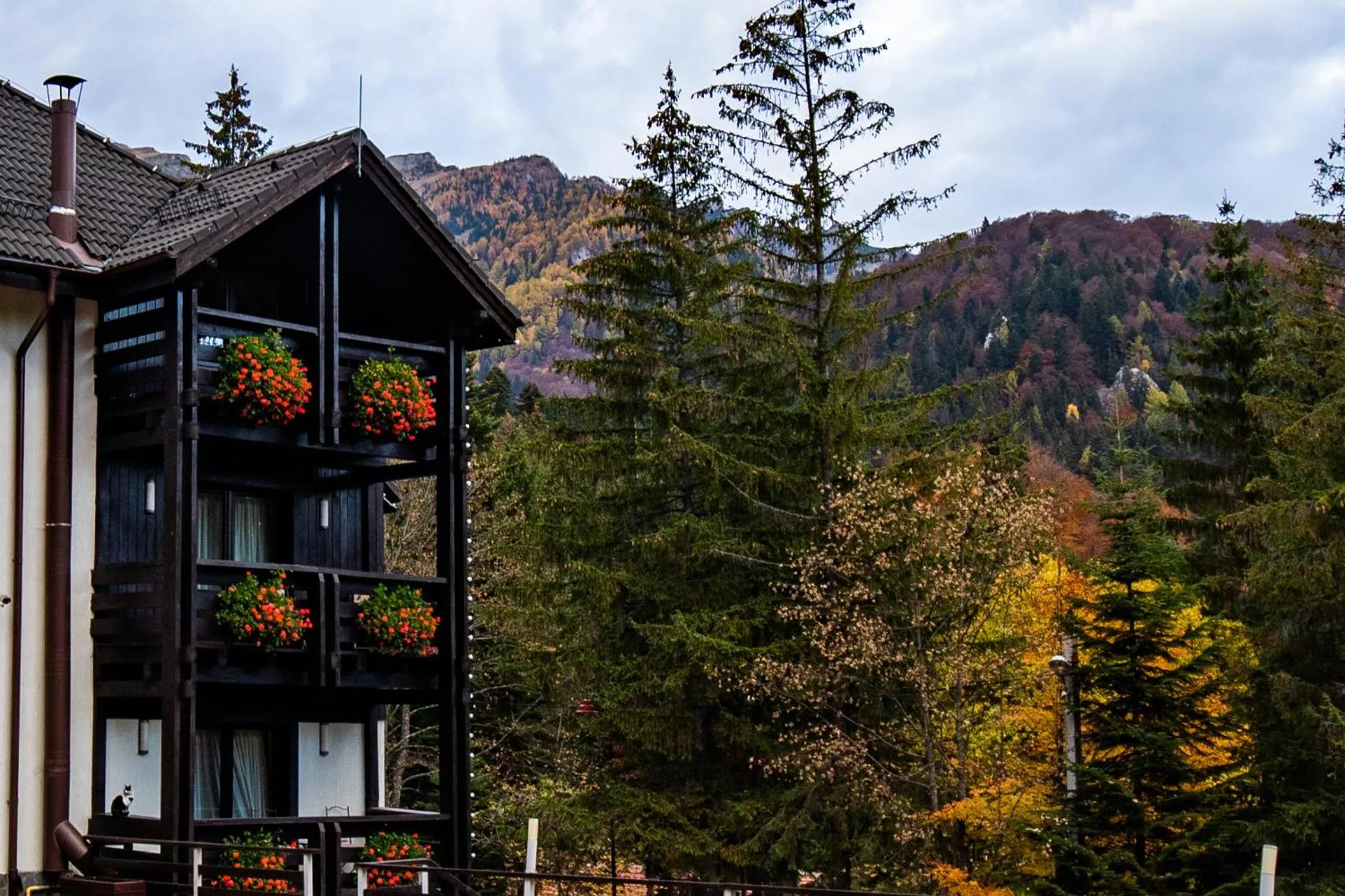 Property building in Casa Iris-Hotel & Restaurant