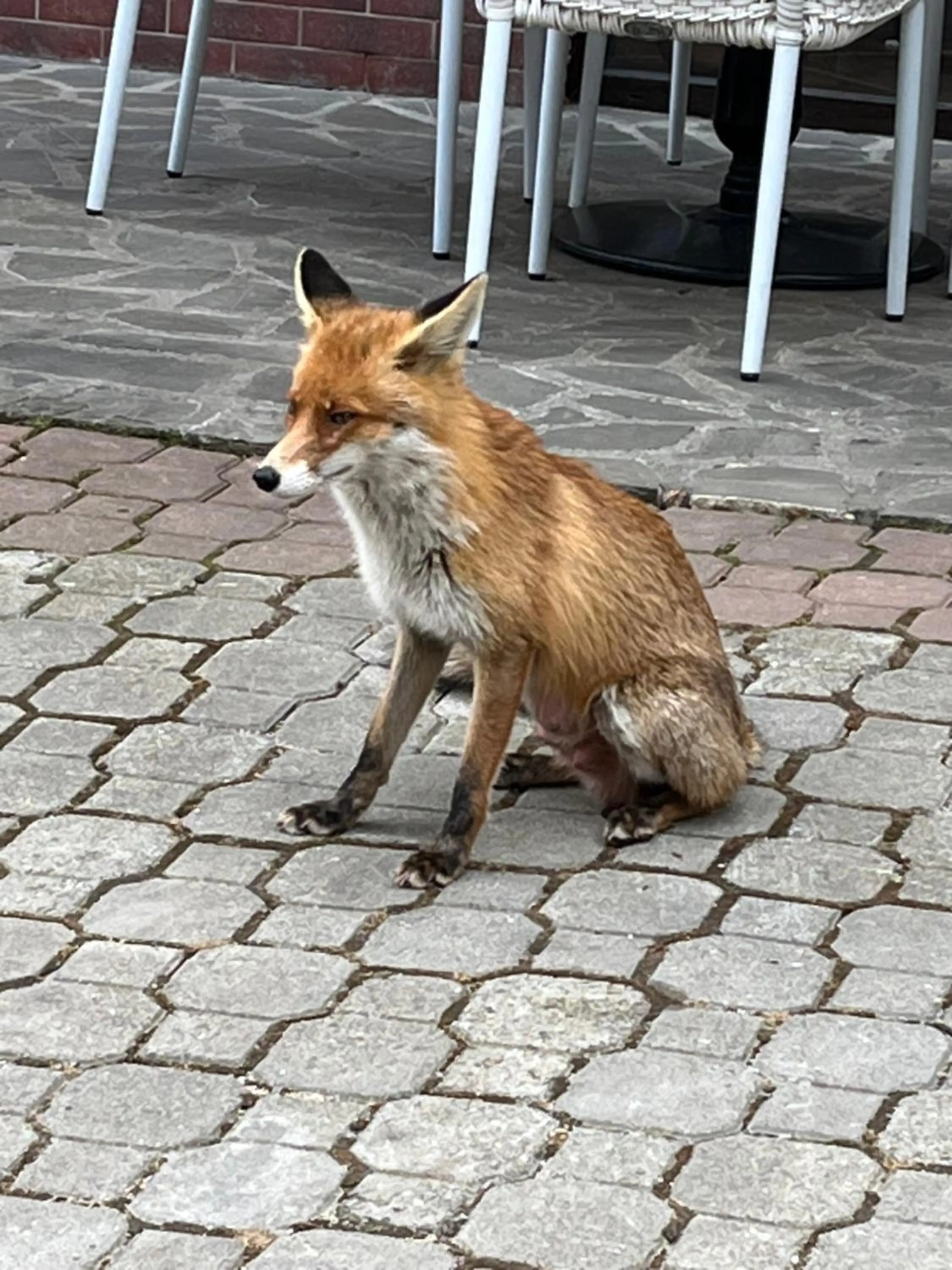 Activities in Casa Iris-Hotel & Restaurant