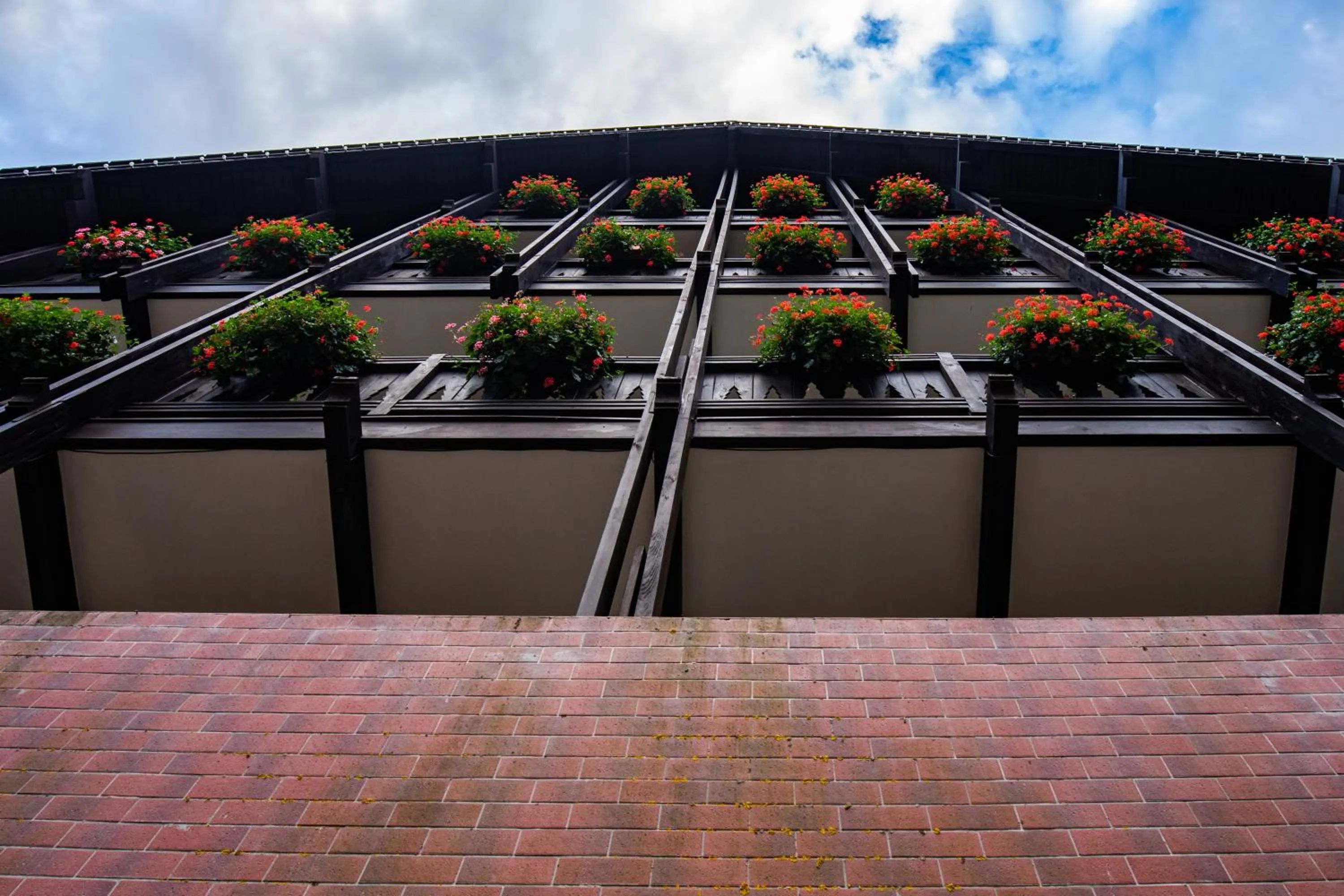 Property building in Casa Iris-Hotel & Restaurant