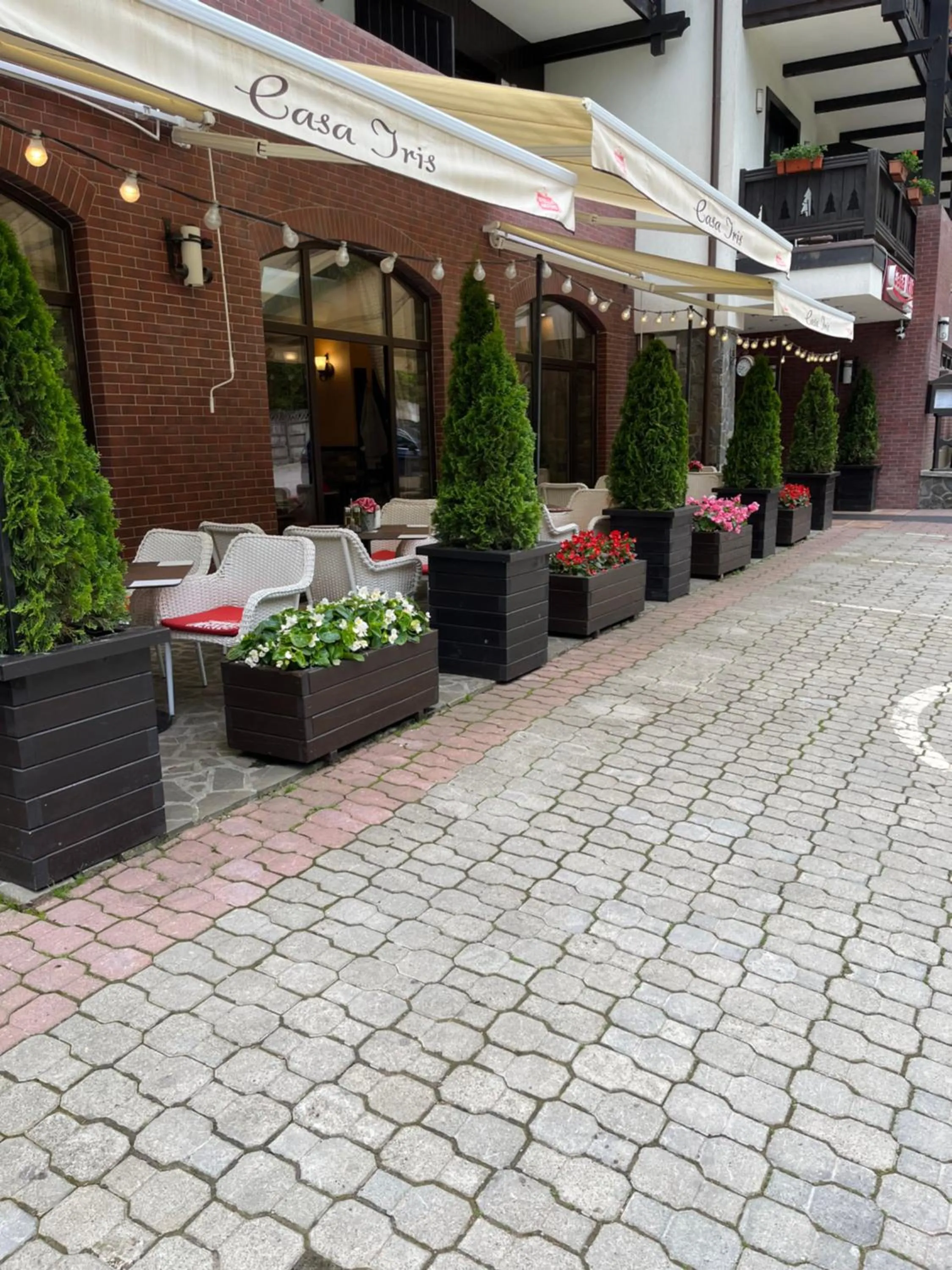 Balcony/Terrace in Casa Iris-Hotel & Restaurant