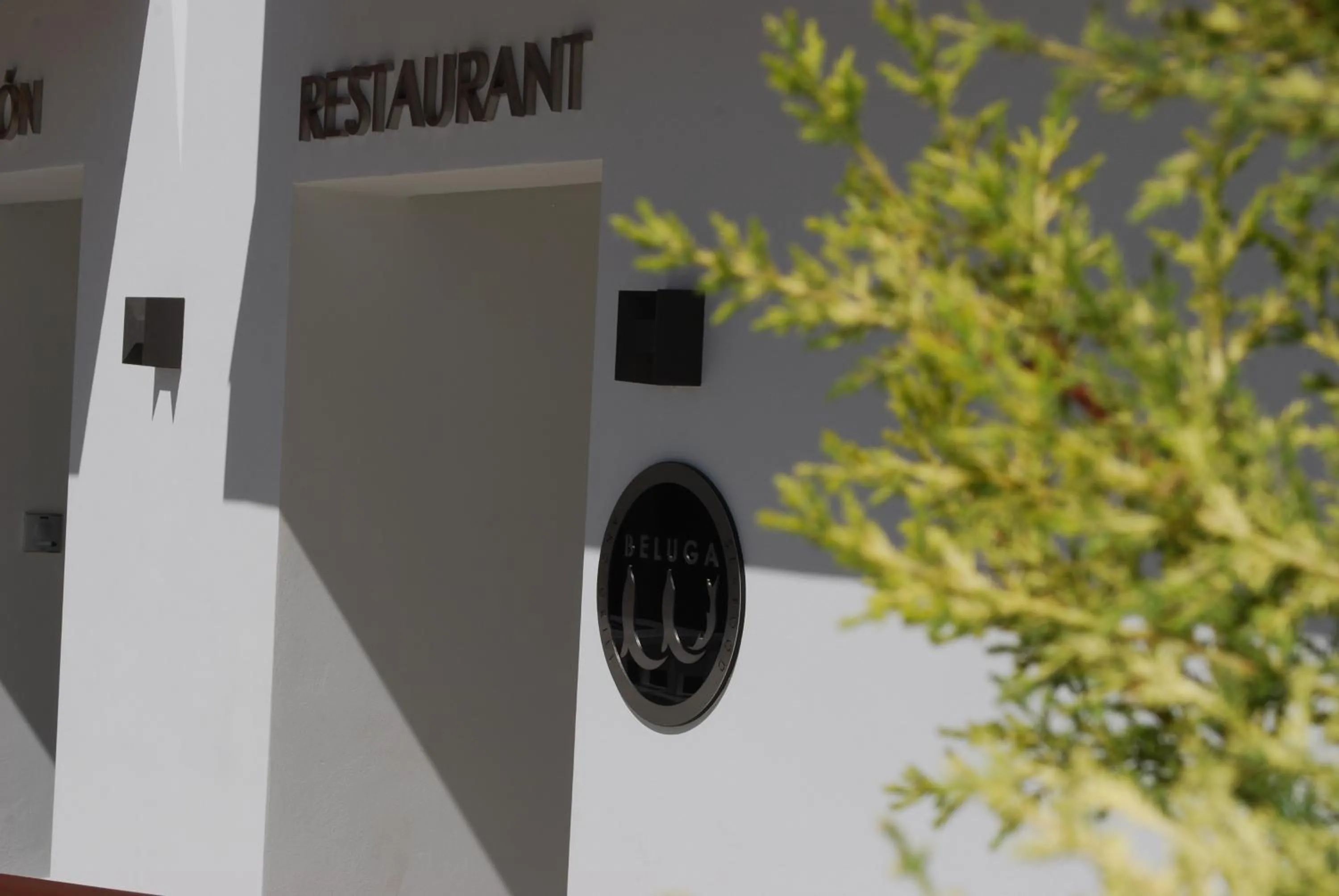 Restaurant/places to eat in Hotel Moli Boutique