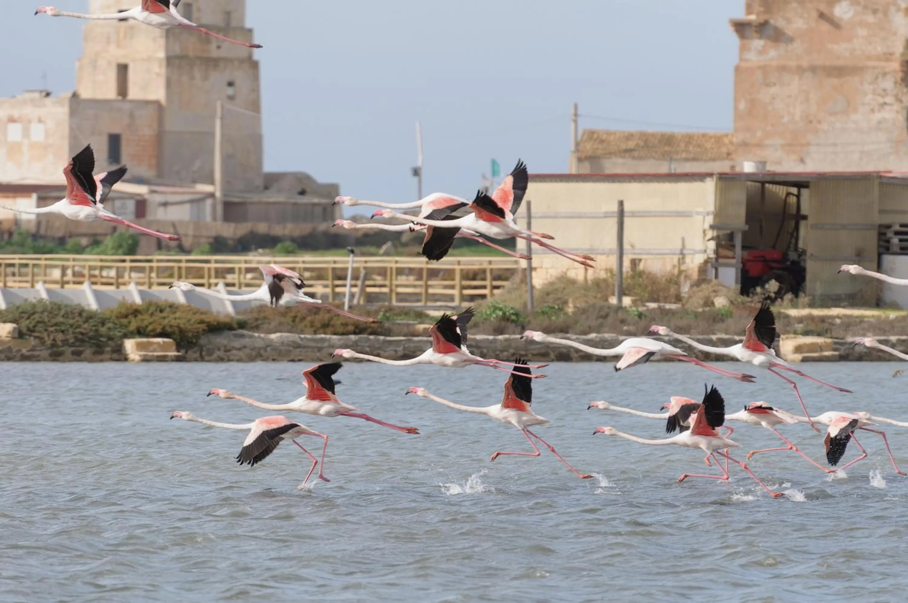 Entertainment in B&B Sbarco dei 1000