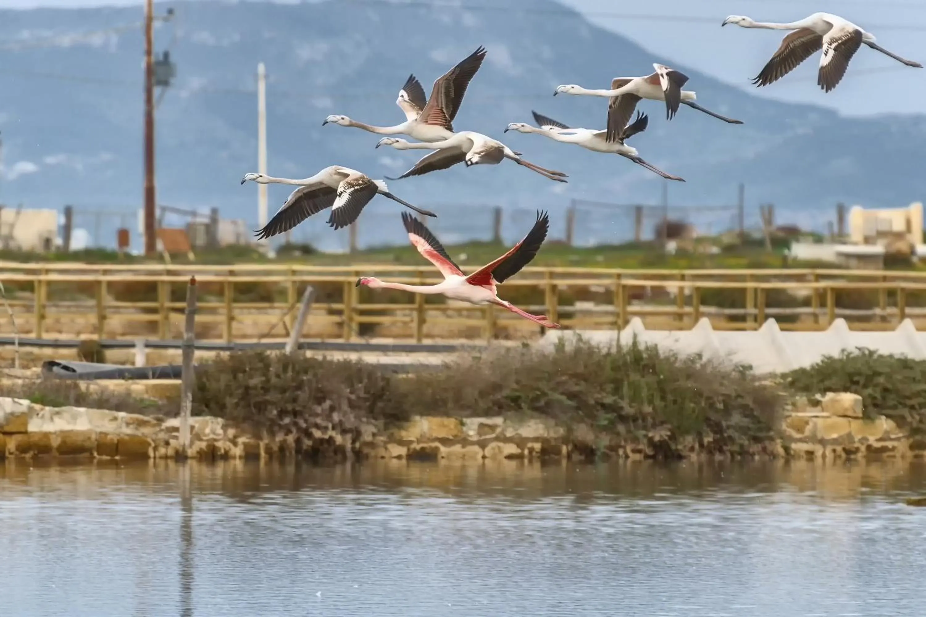 Location in B&B Sbarco dei 1000