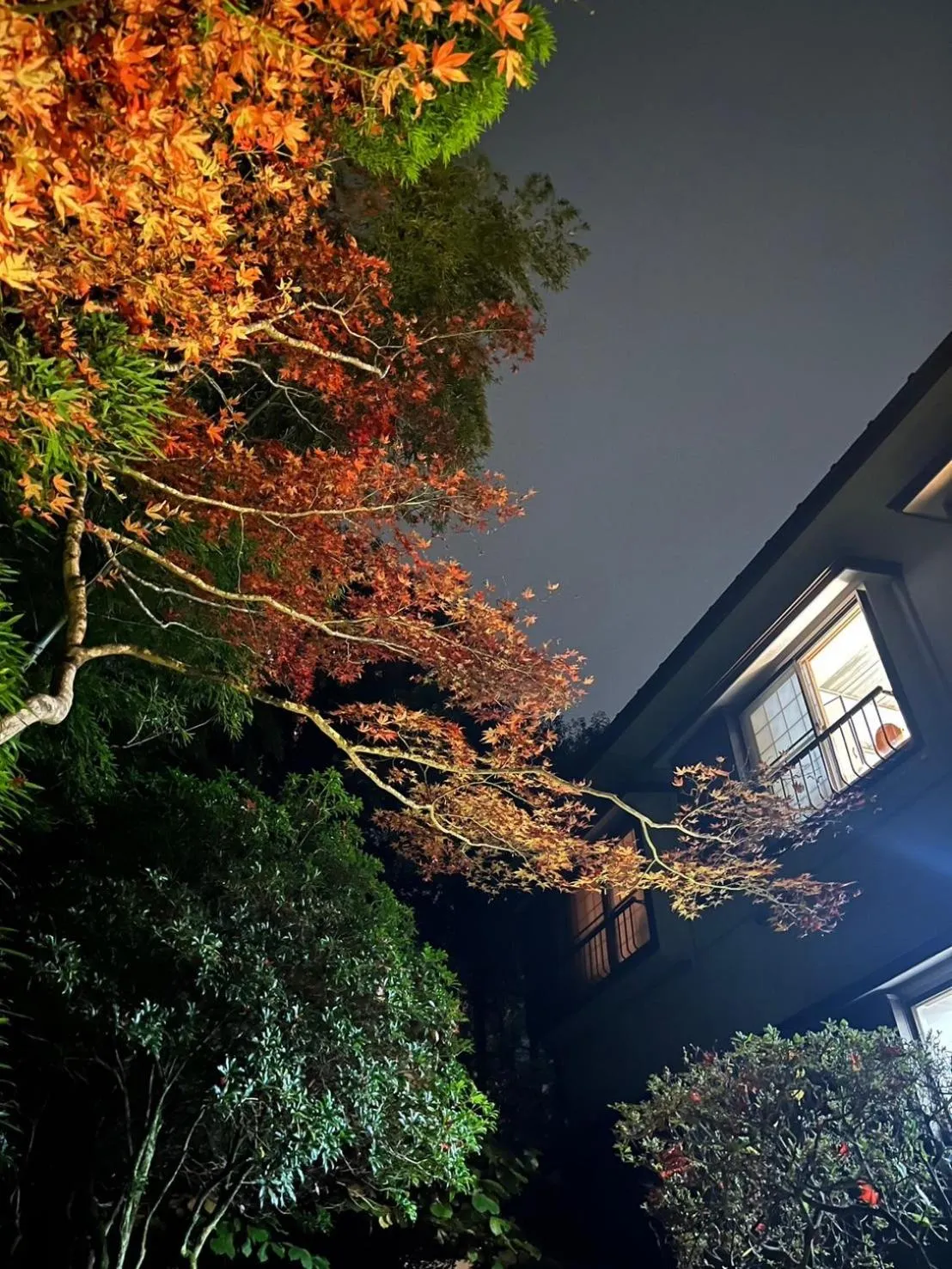 Natural landscape in Fuji-Hakone Guest House