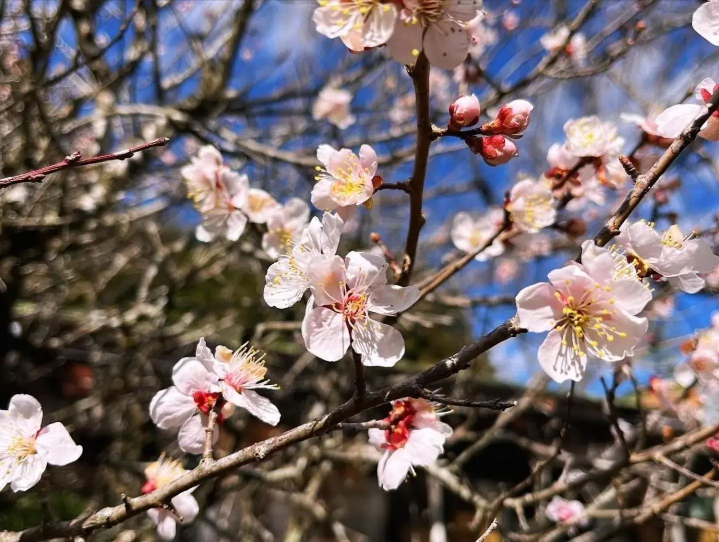 Property building in Fuji-Hakone Guest House Property building in Fuji-Hakone Guest House