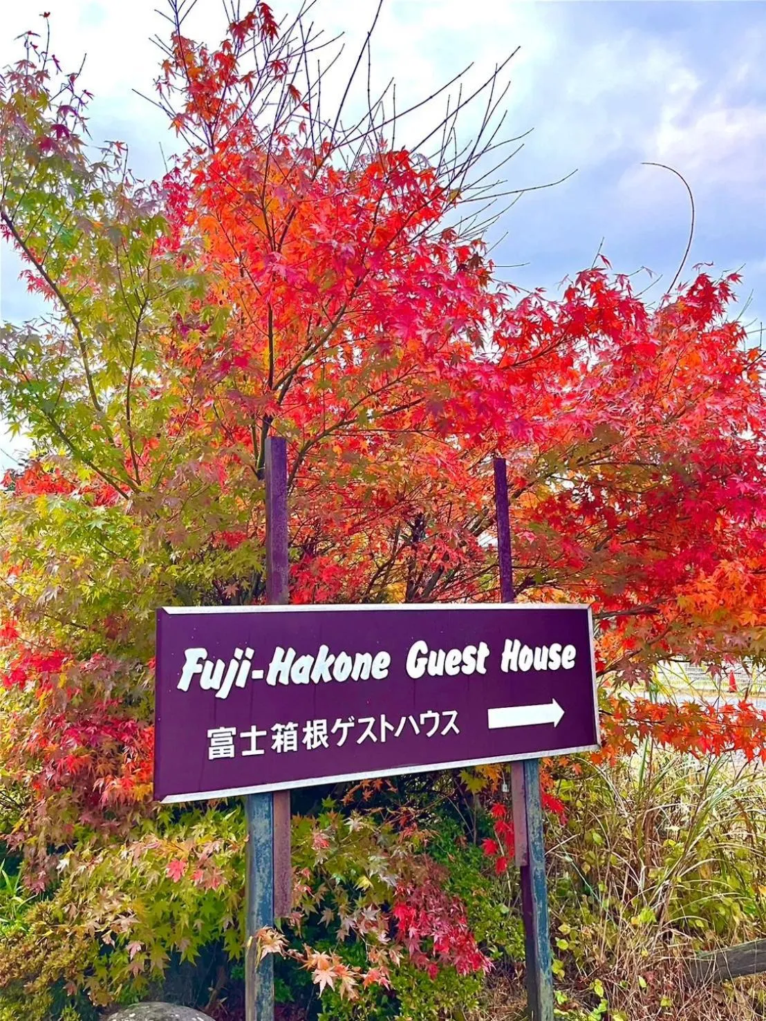 Day in Fuji-Hakone Guest House