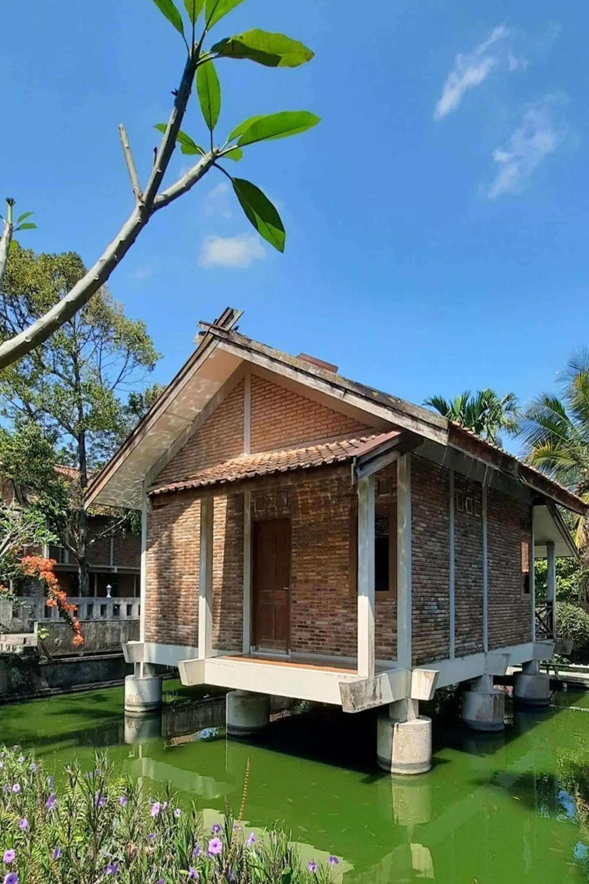 View (from property/room) in Disaster Oasis View (from property/room) in Disaster Oasis