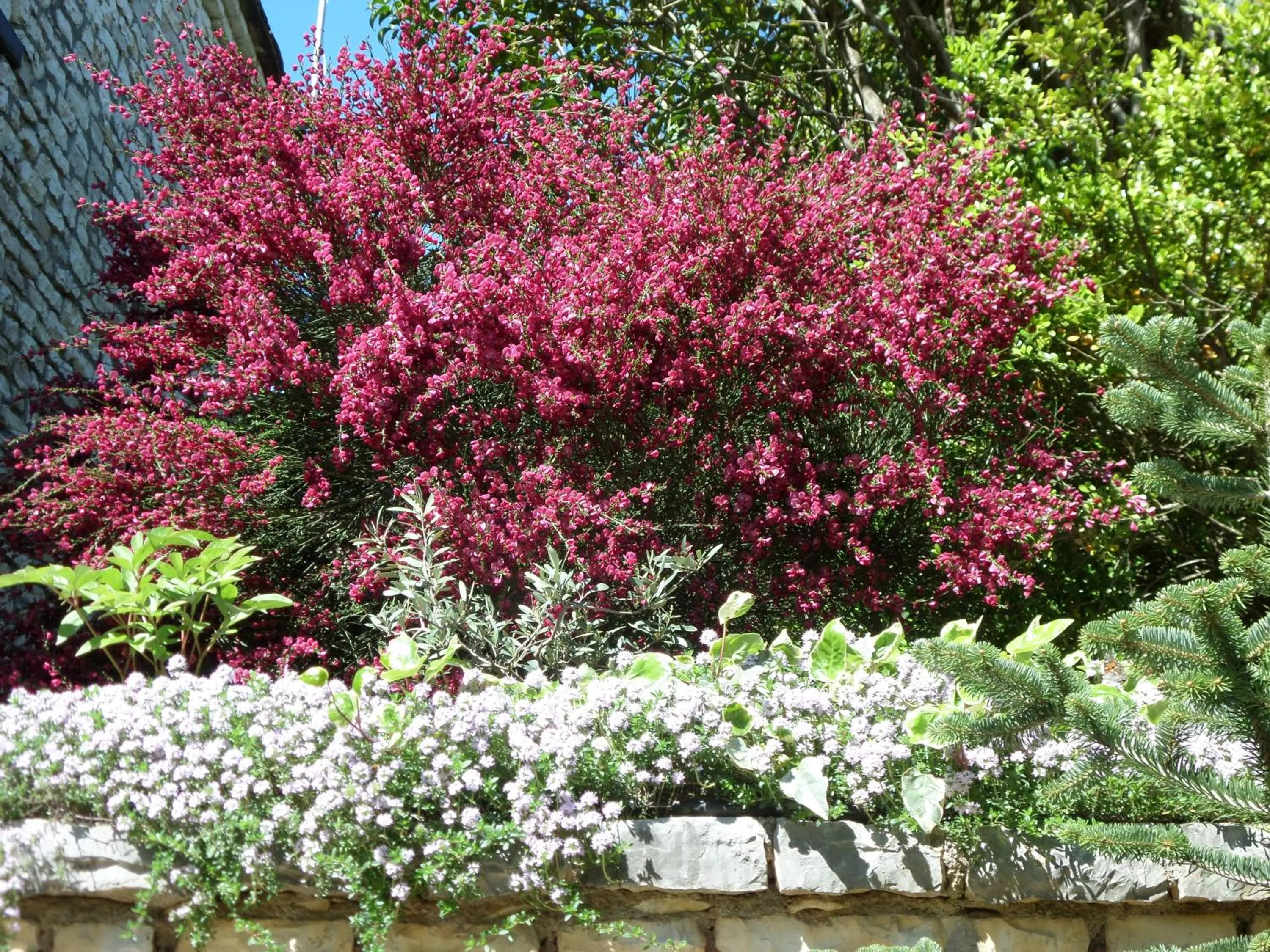 Garden view in Arhontiko Aristis