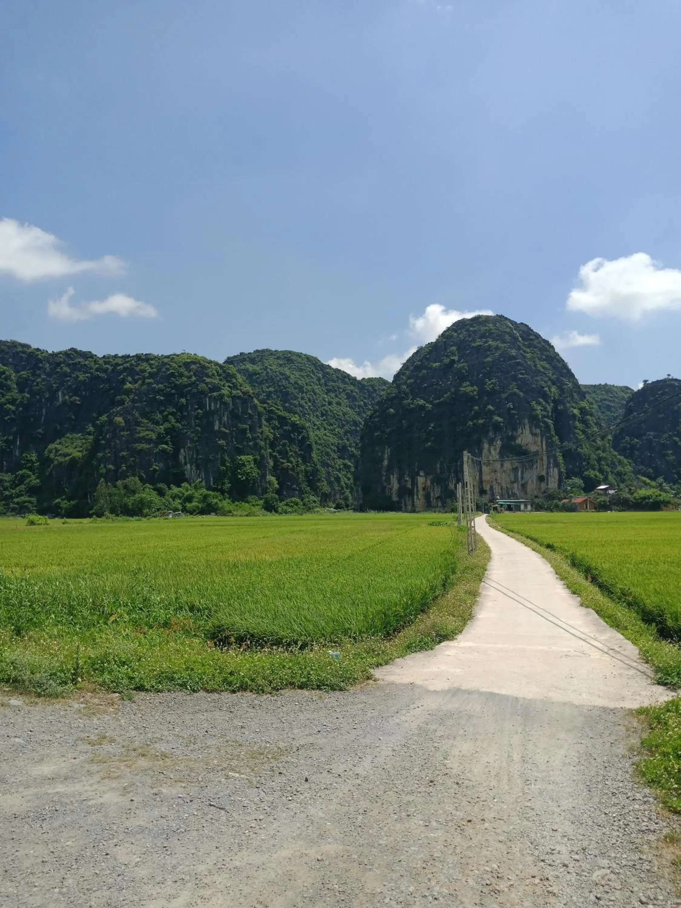 Natural landscape in Tam Coc Valley Bung