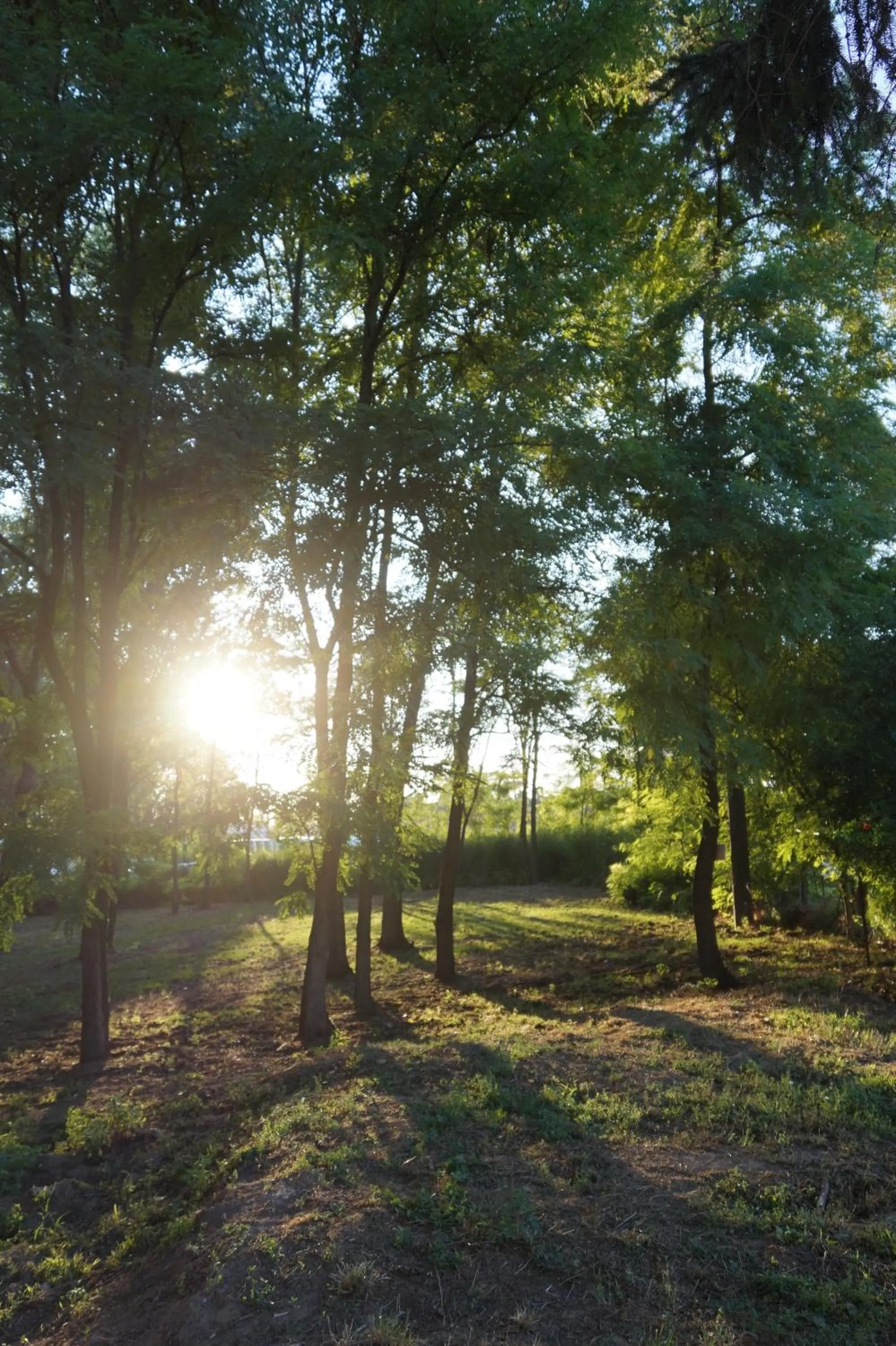 Natural landscape in NOEMI & JULIENNE