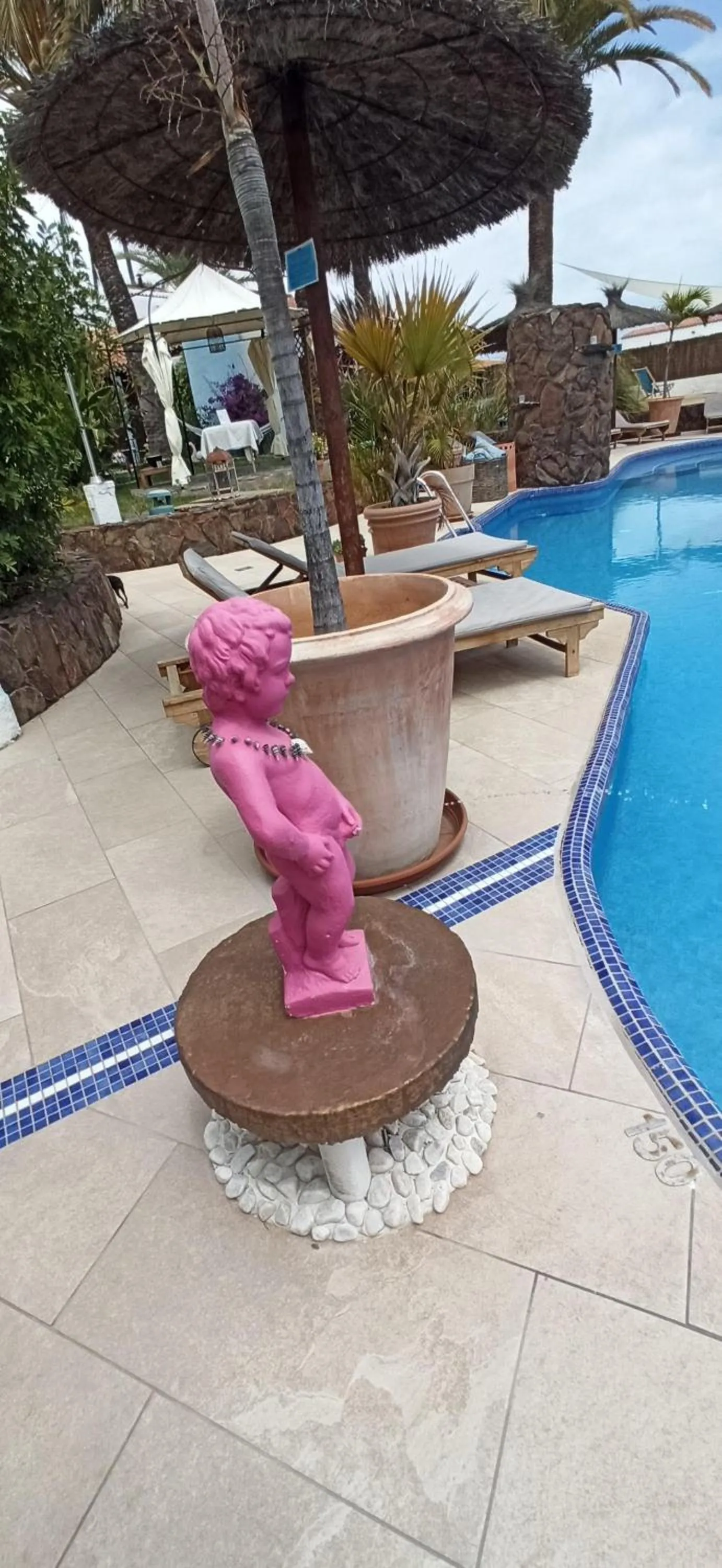 Swimming pool in Birdcage Gay Men Resort and Lifestyle Hotel