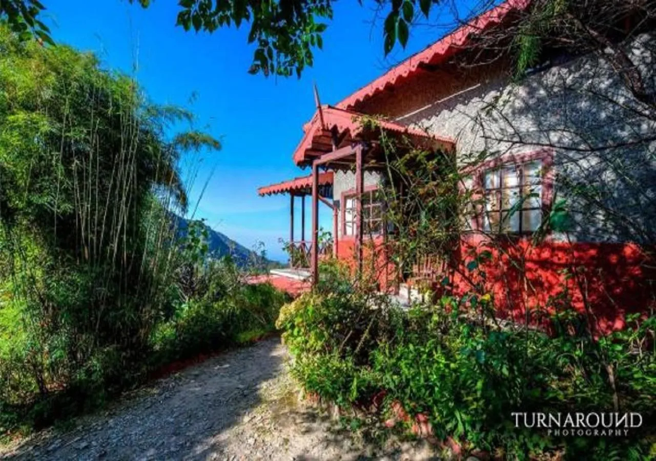 Property building in Jungle Lore Birding Lodge