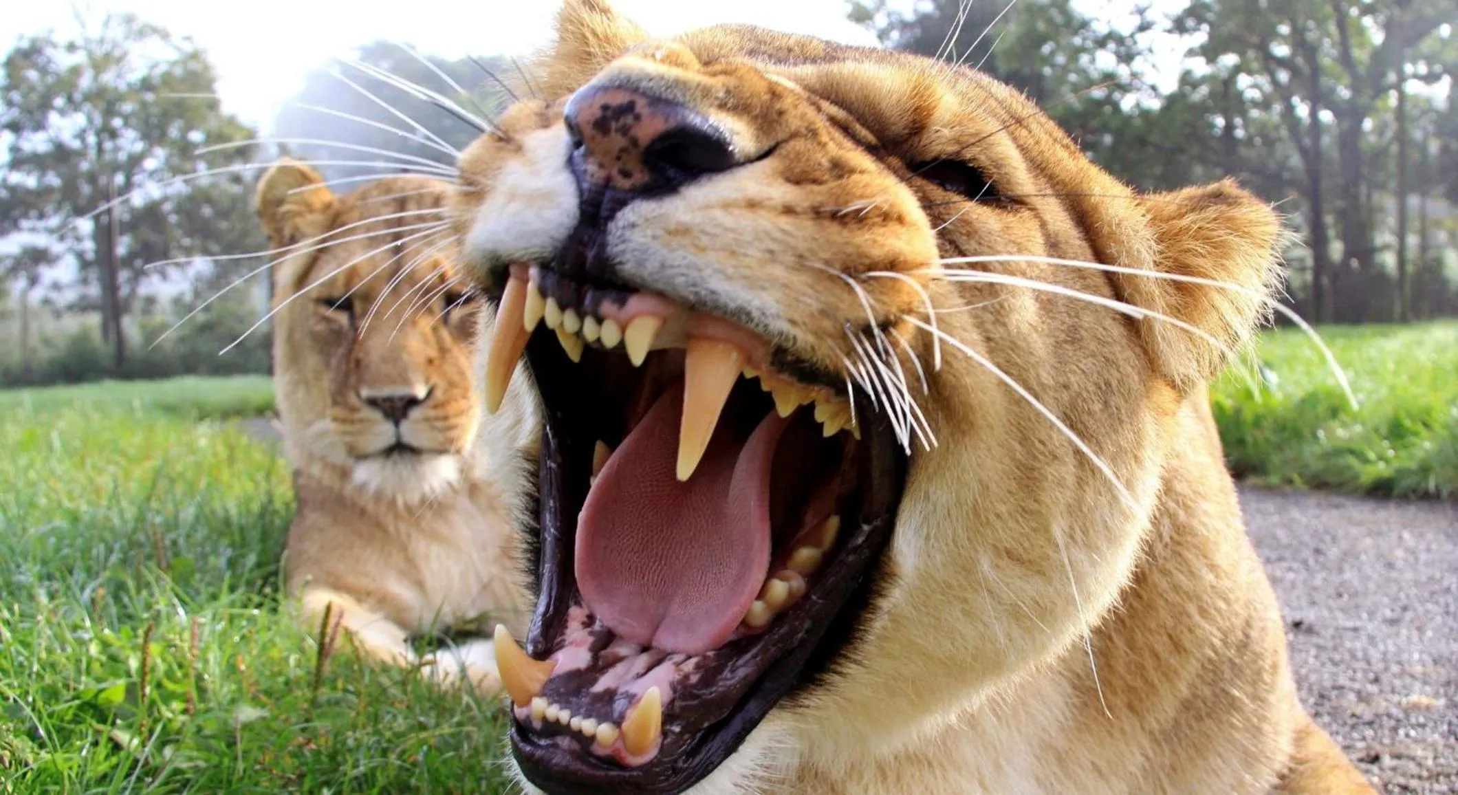 Area and facilities in Holiday Inn Bristol Filton by IHG