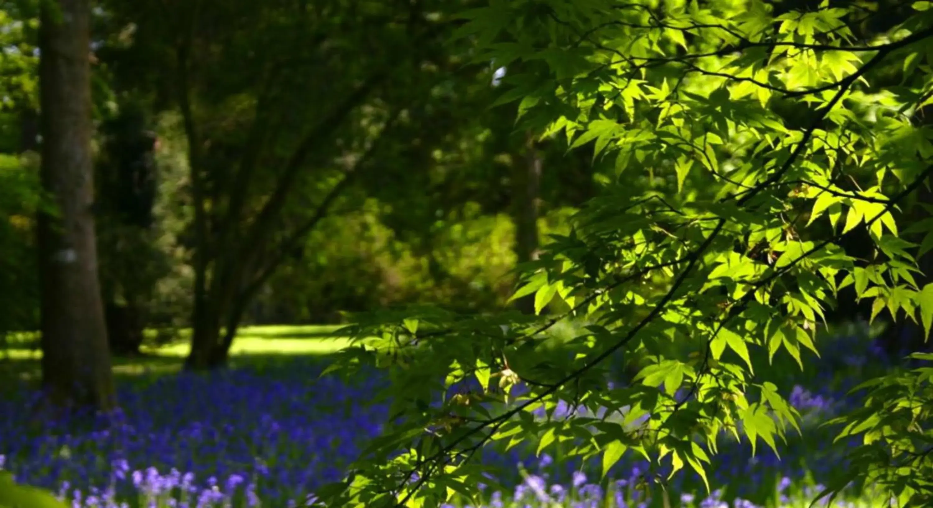 Property building in Holiday Inn Bristol Filton by IHG Property building in Holiday Inn Bristol Filton by IHG