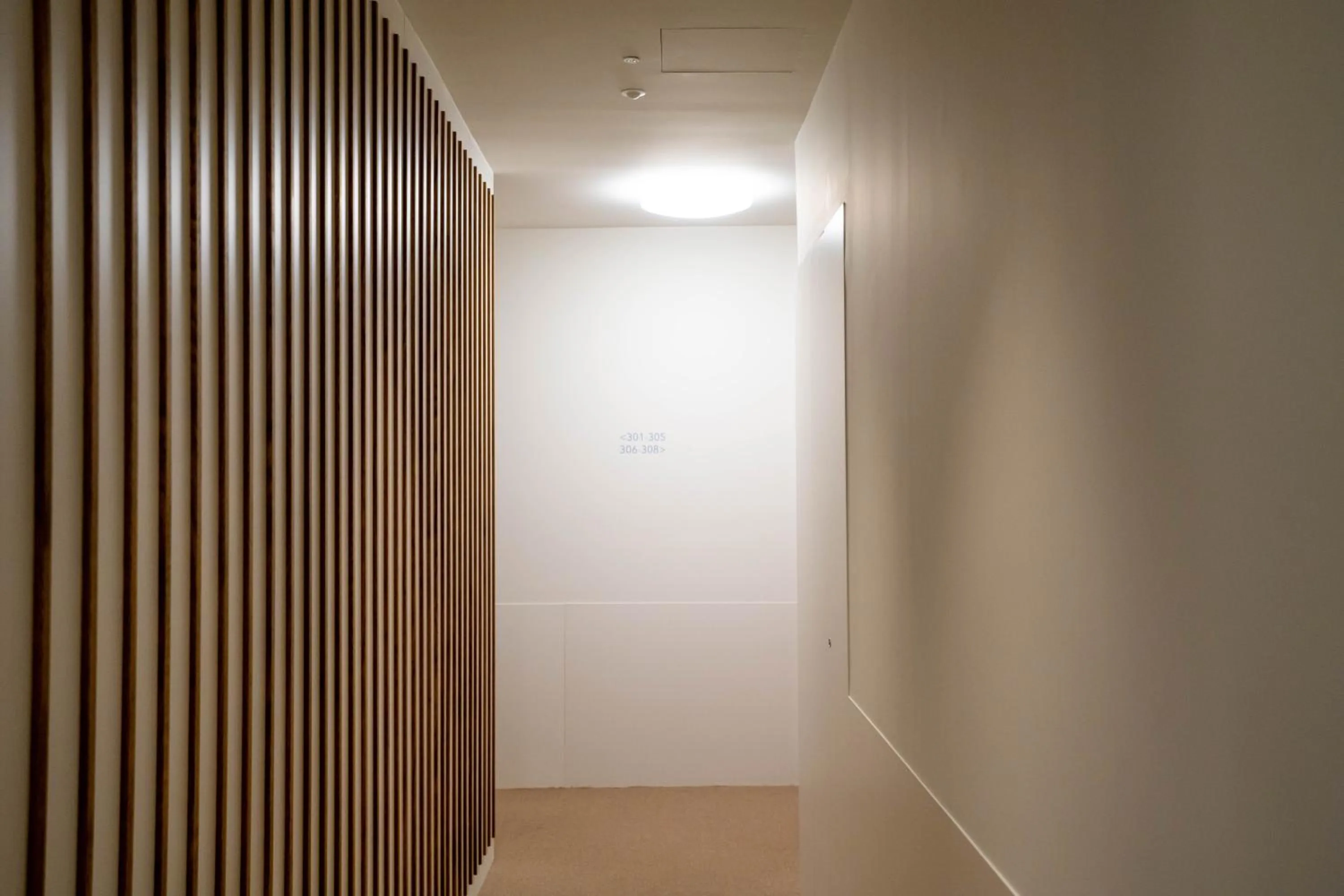 Area and facilities in Teide Rooms