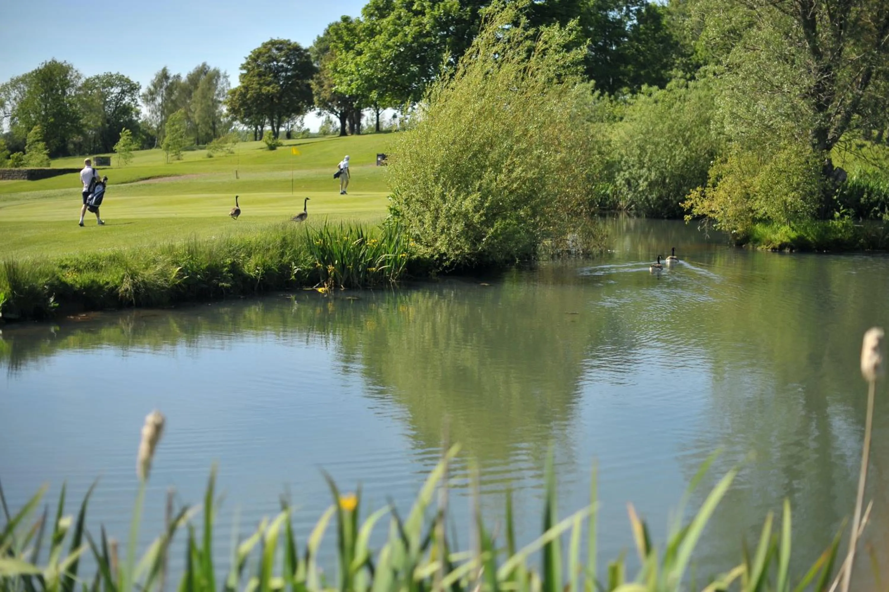 Spring in Bells Hotel