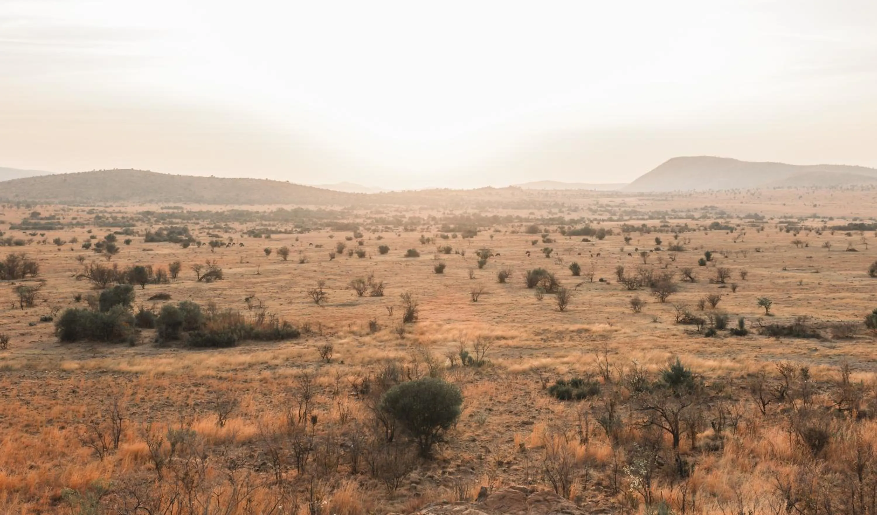 Mountain view in Lush Private Game Lodge