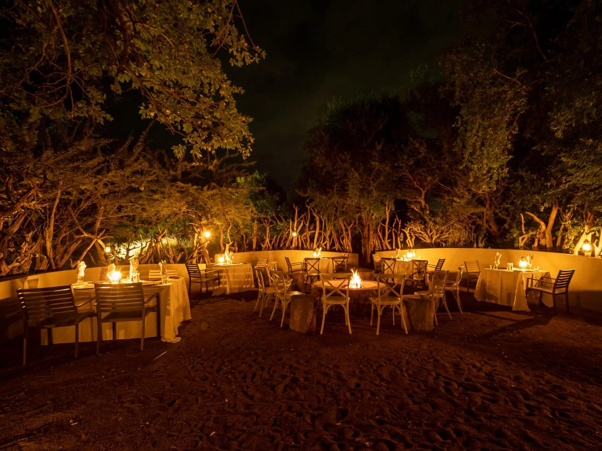 Night in Lush Private Game Lodge