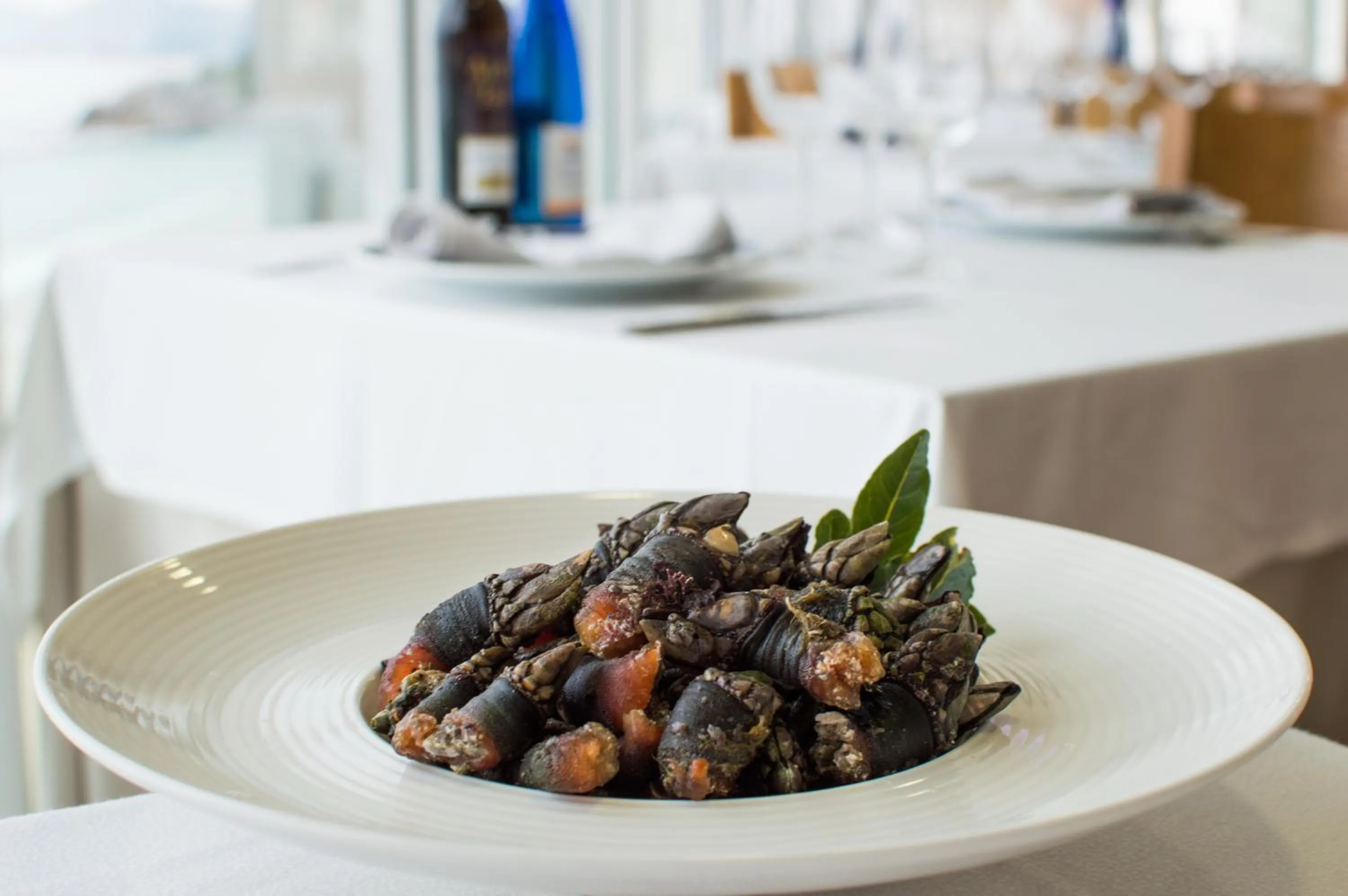 Hotel Restaurante Loureiro