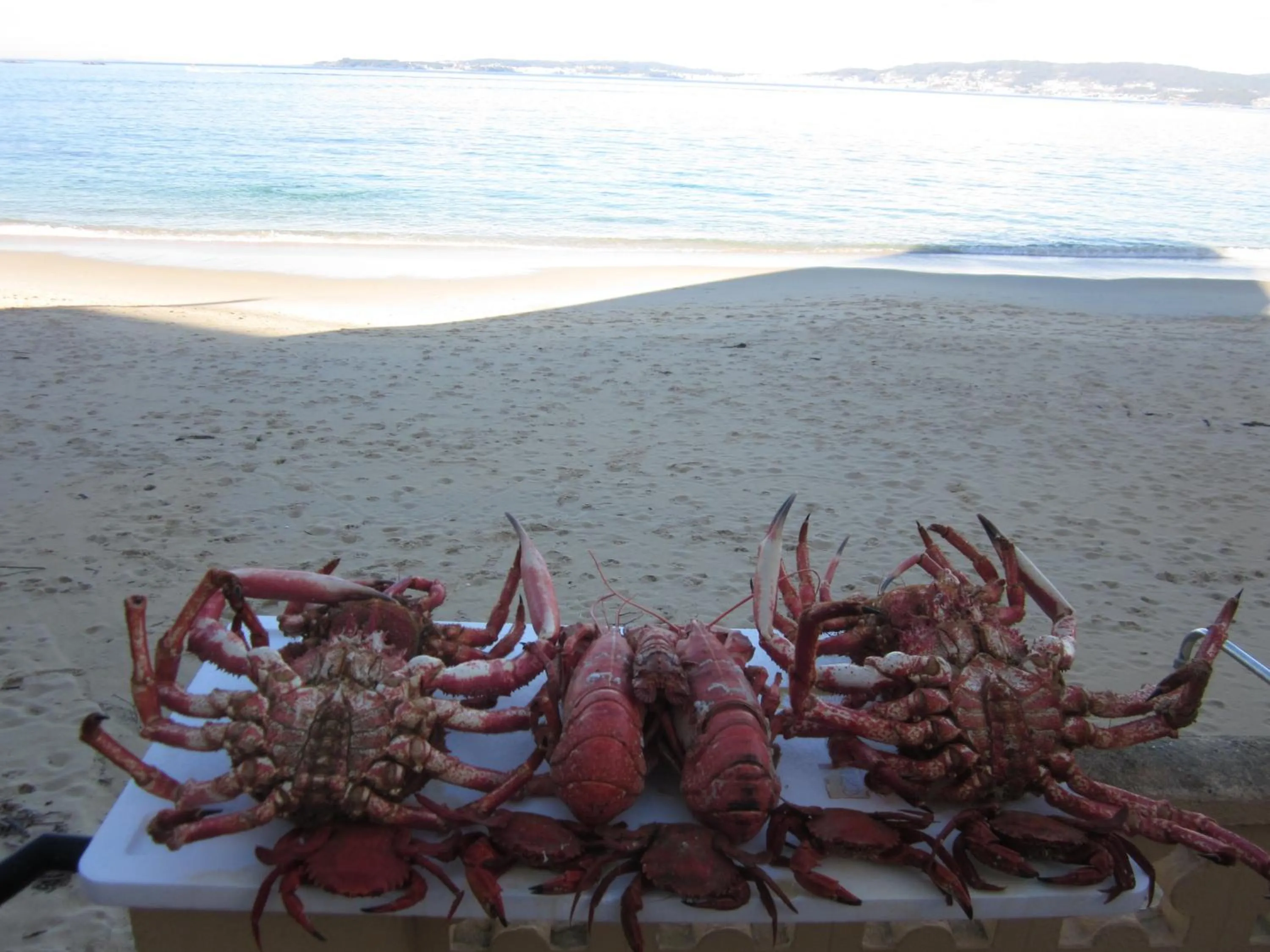 Area and facilities in Hotel Restaurante Loureiro