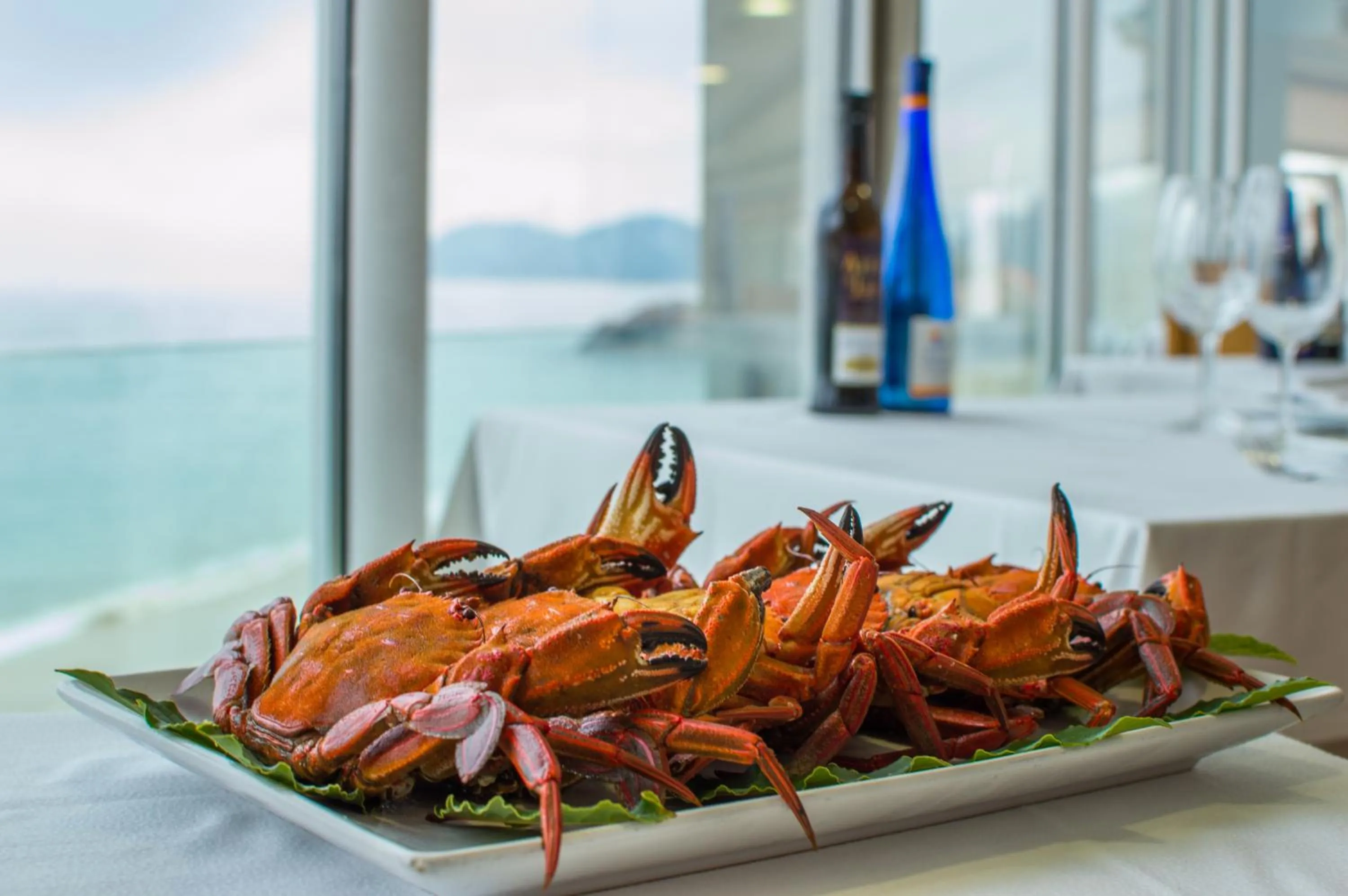 Hotel Restaurante Loureiro