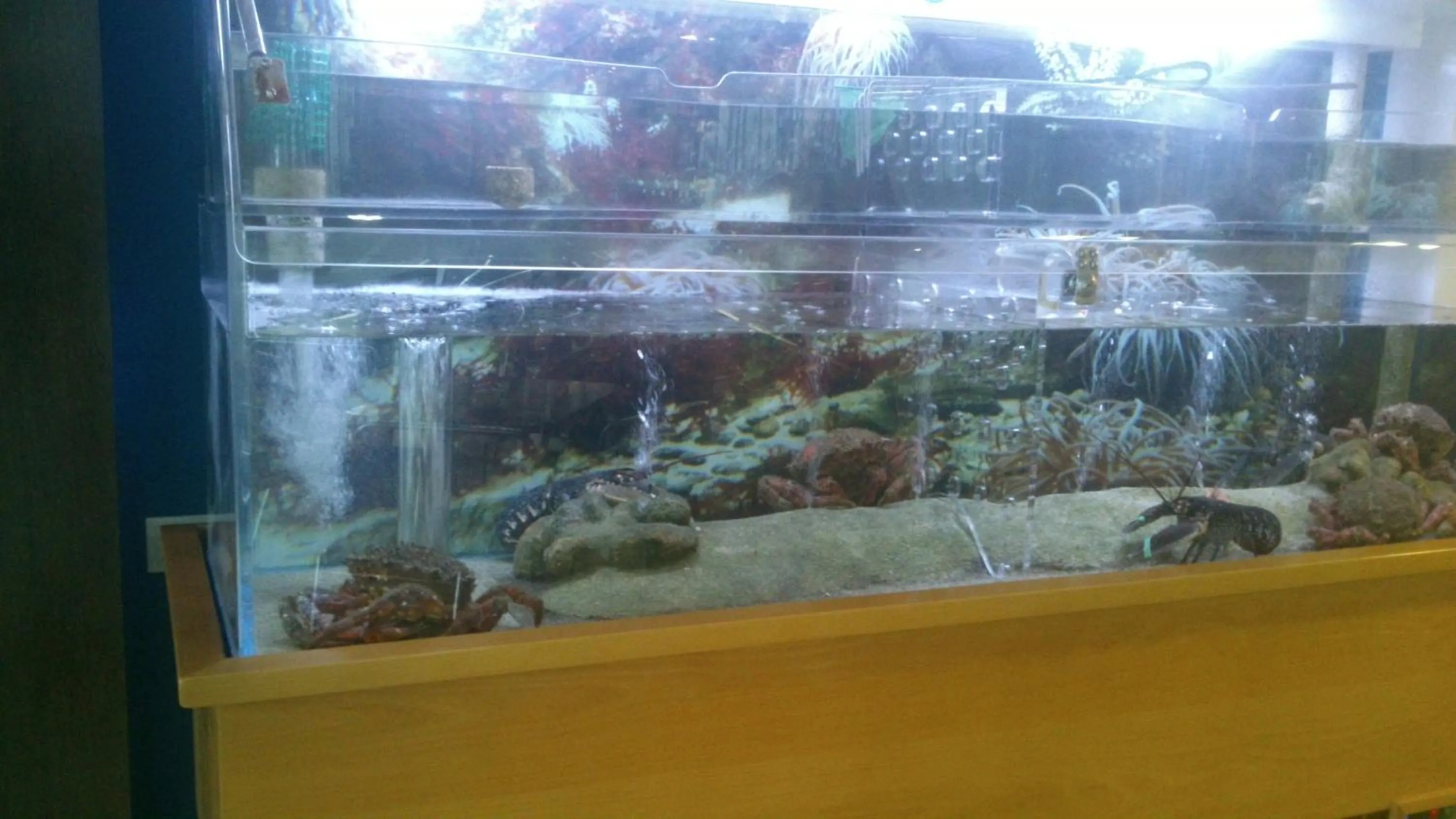 Other in Hotel Restaurante Loureiro