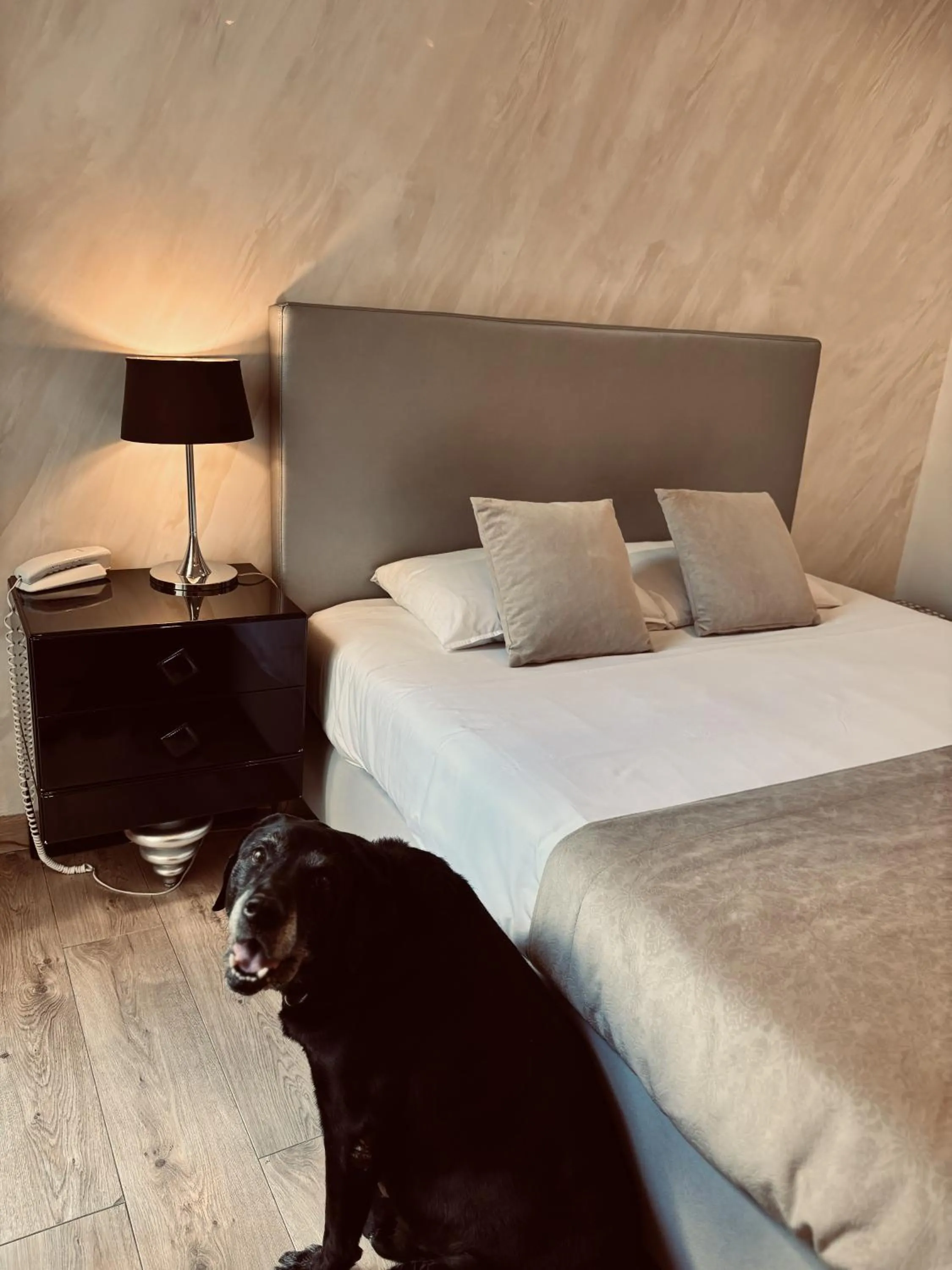 Bed in Logis Hôtel Saint Martin