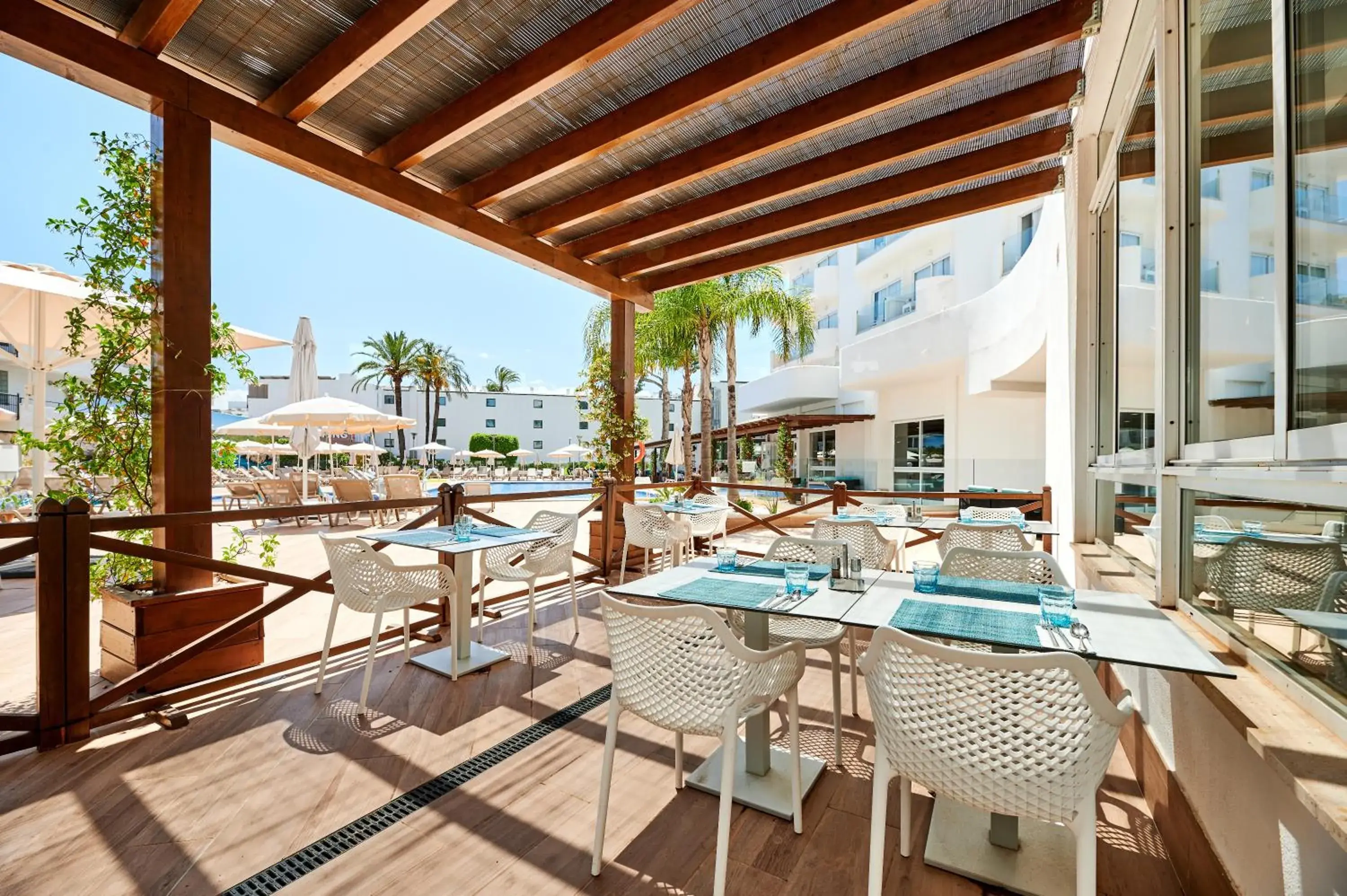 Restaurant/places to eat in AluaSun Continental Park Hotel & Apartments Restaurant/places to eat in AluaSun Continental Park Hotel & Apartments