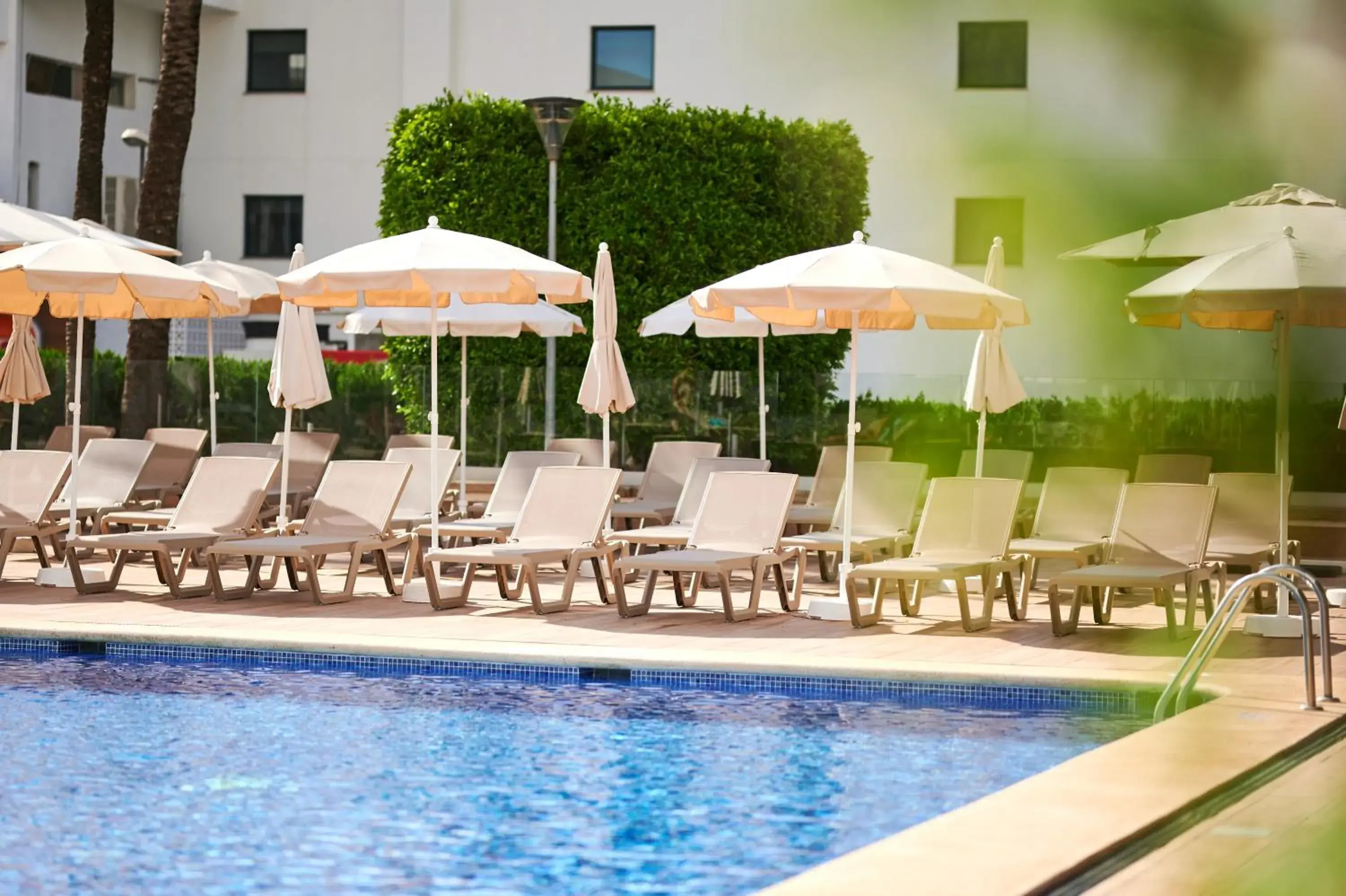 Swimming pool in AluaSun Continental Park Hotel & Apartments Swimming pool in AluaSun Continental Park Hotel & Apartments