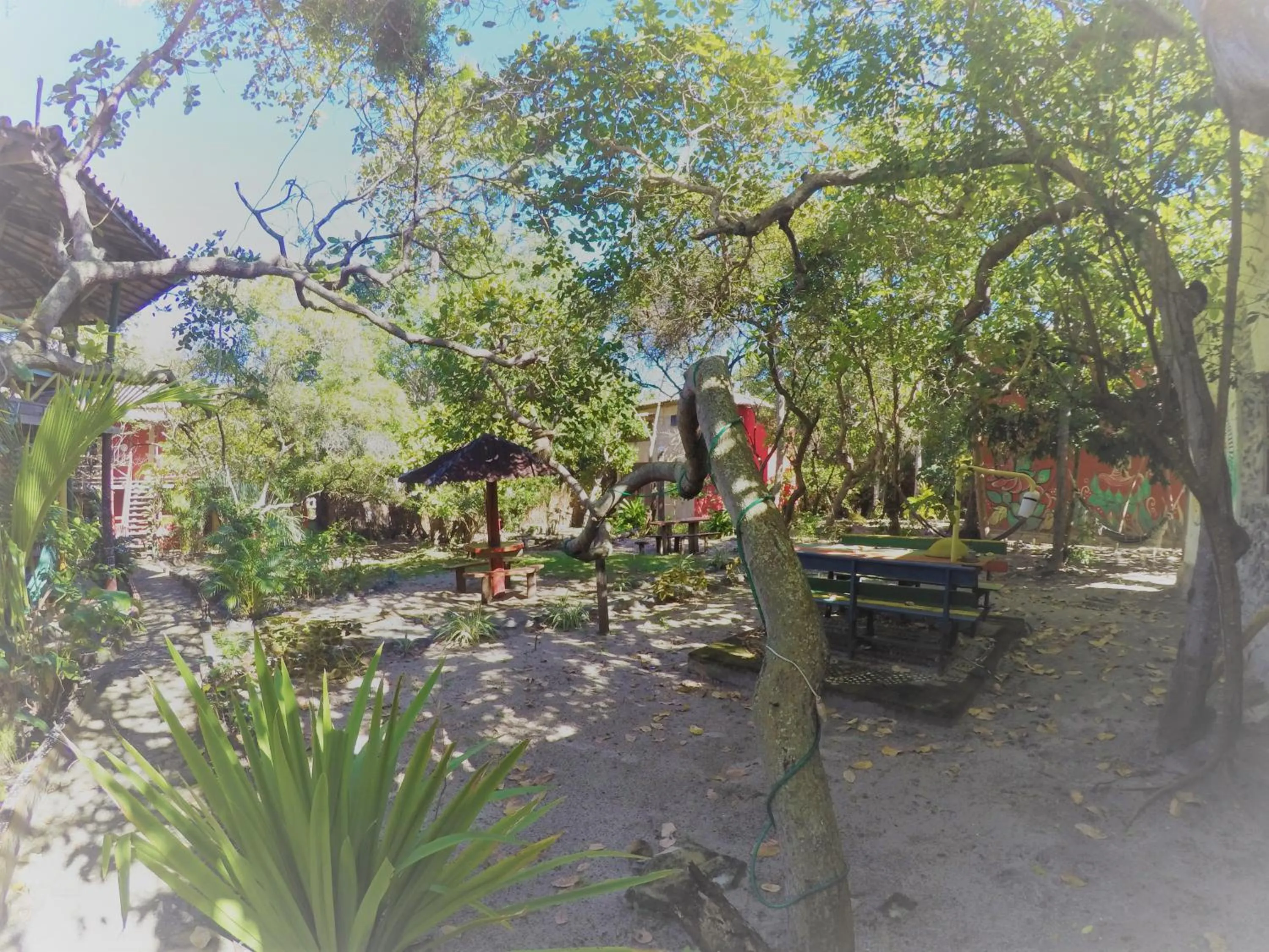 Garden in Imbassaí Pousada Hostel Lujimba