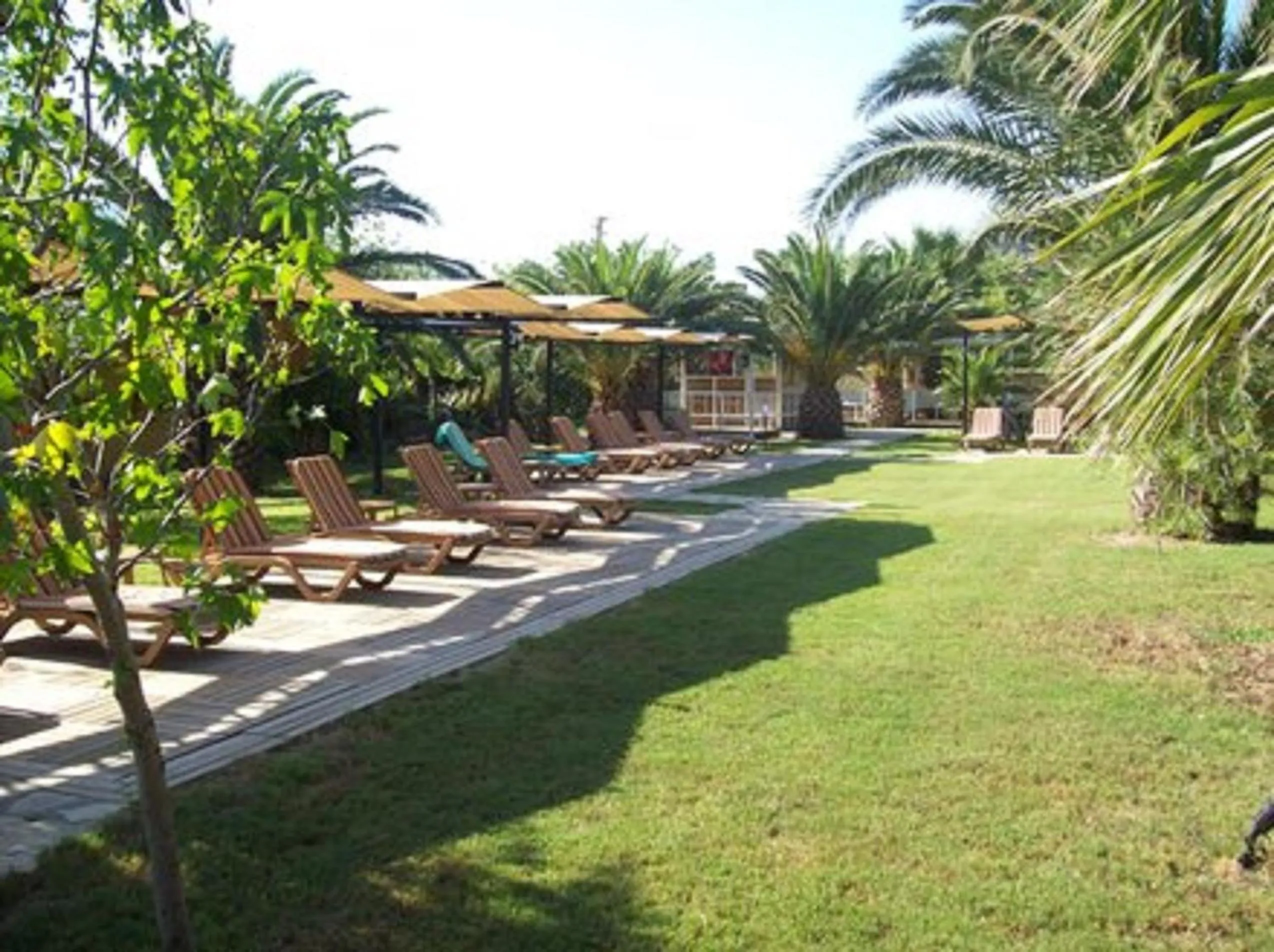 Garden in Club Alla Turca