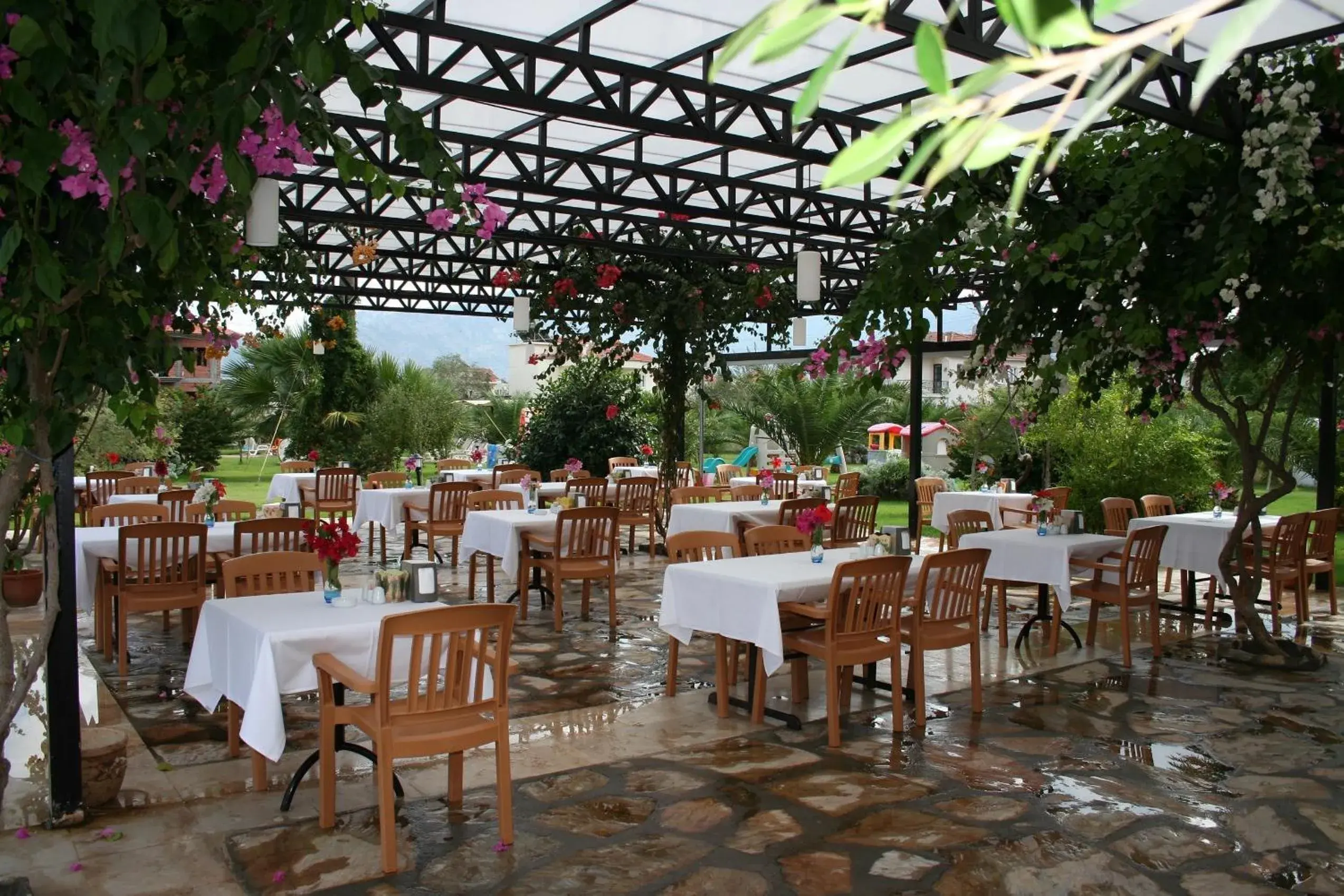 Food in Club Alla Turca Food in Club Alla Turca