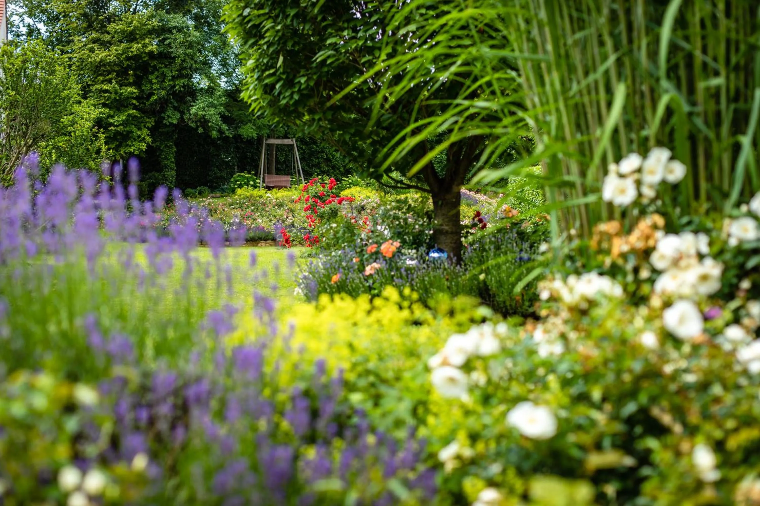 Garden in Boutique-Hotel Alter Gerichtshof