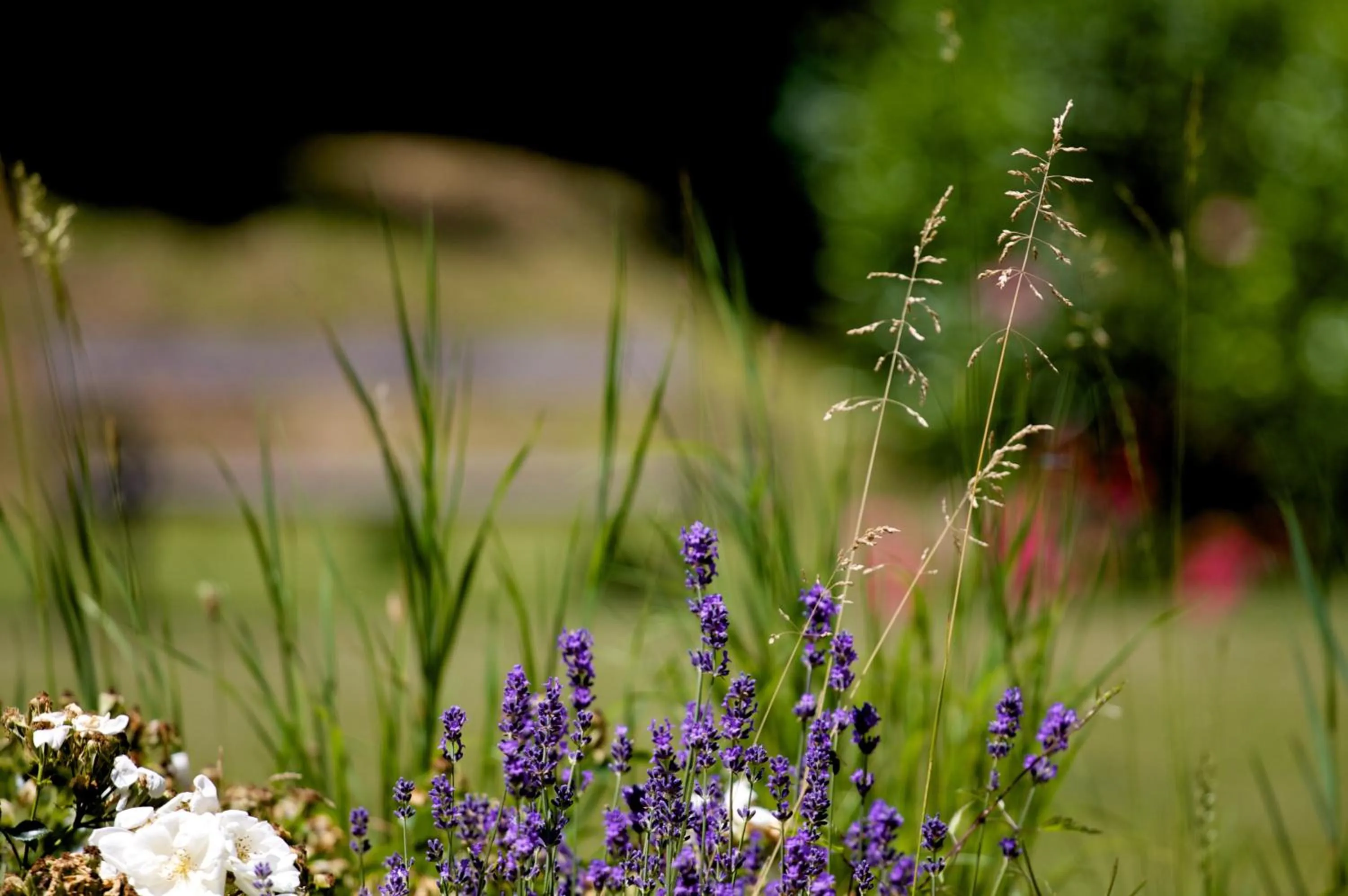 Garden in Boutique-Hotel Alter Gerichtshof