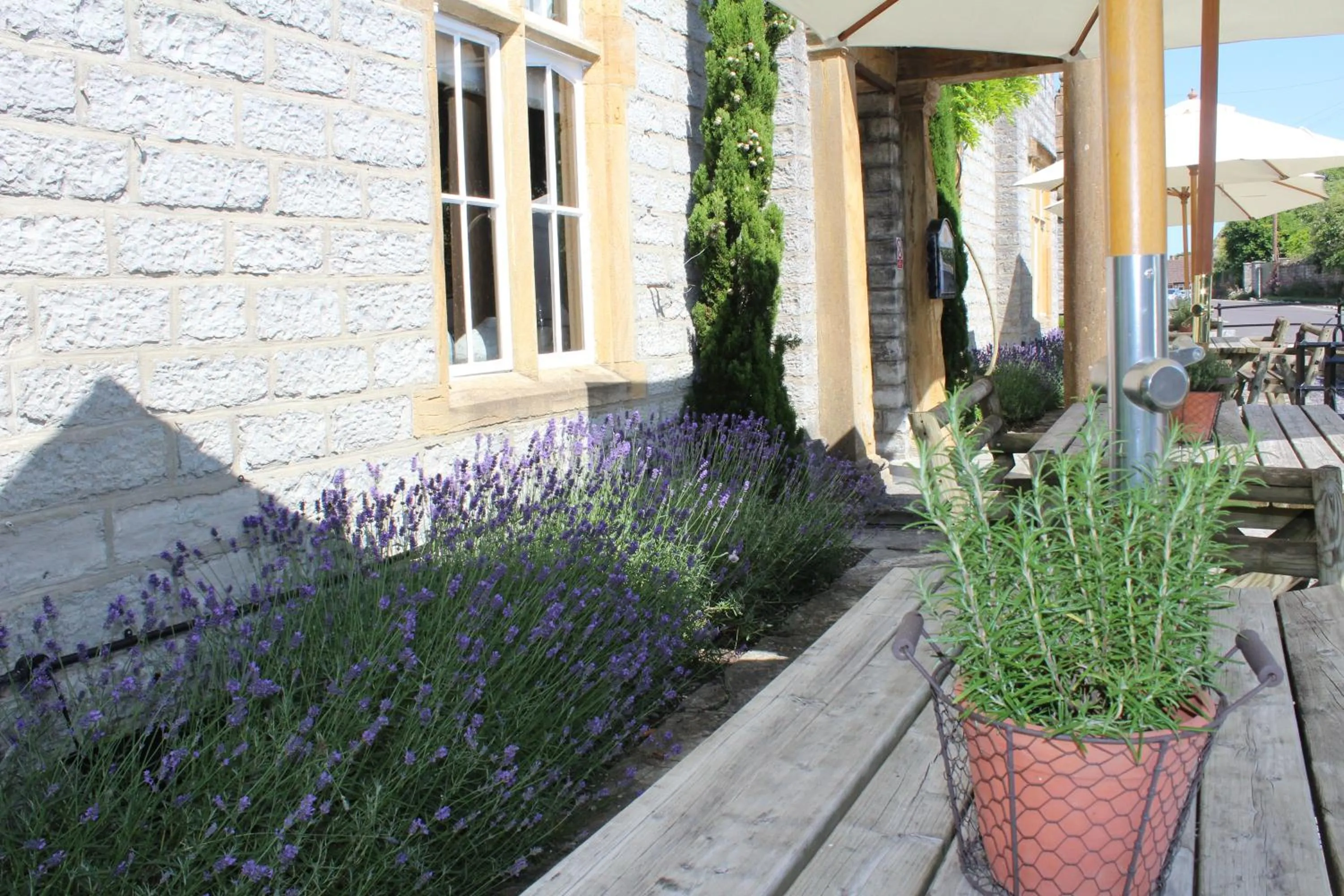 Spring in Devonshire Arms