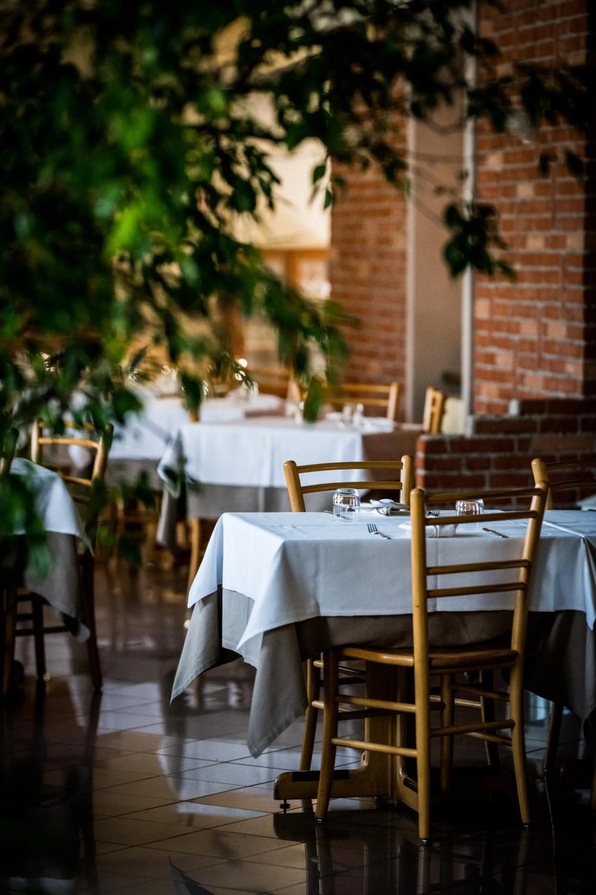 Restaurant/places to eat in Al Vecchio Palazzo