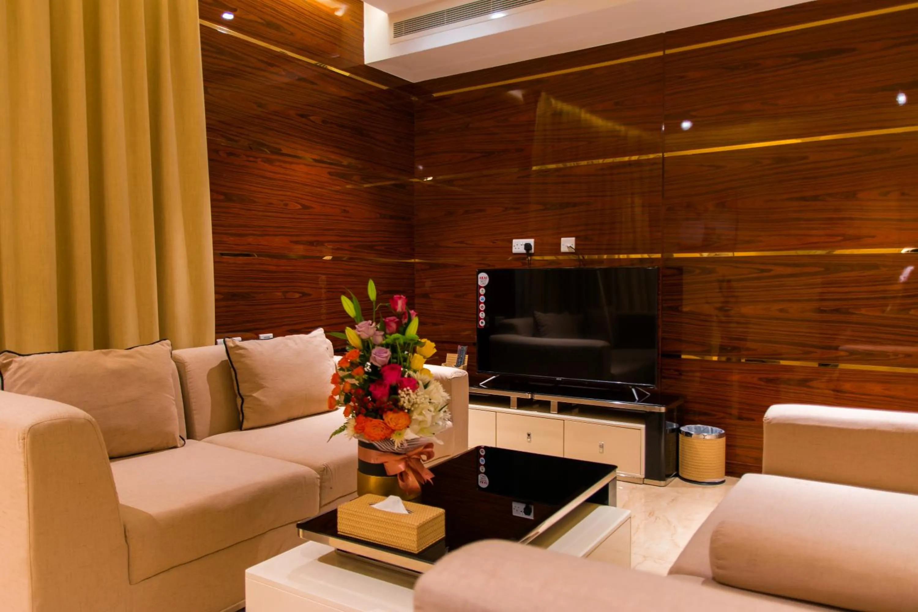 TV and multimedia in City Park Hotel Apartments