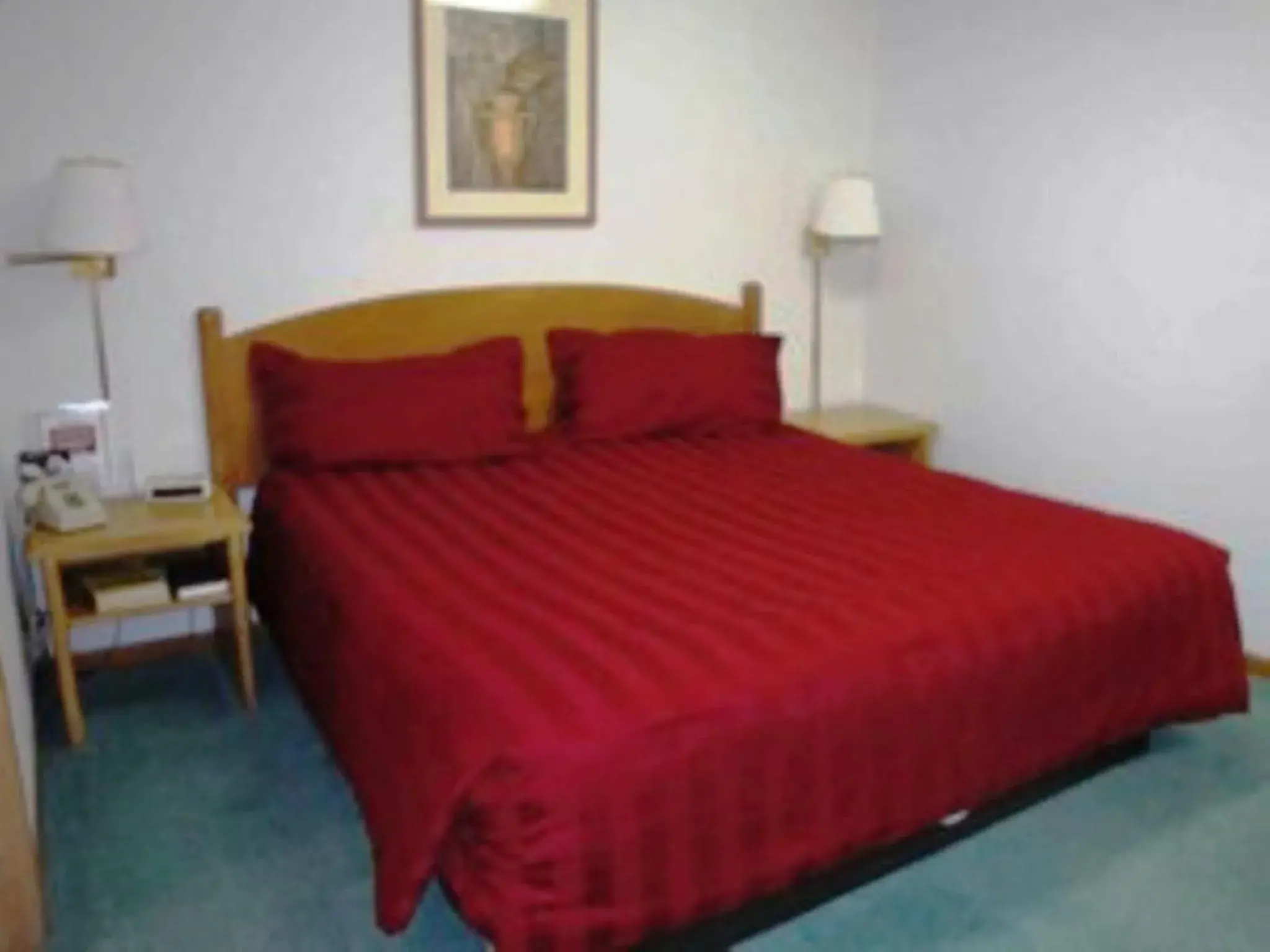 Bed in Red Carpet Motel - Knoxville