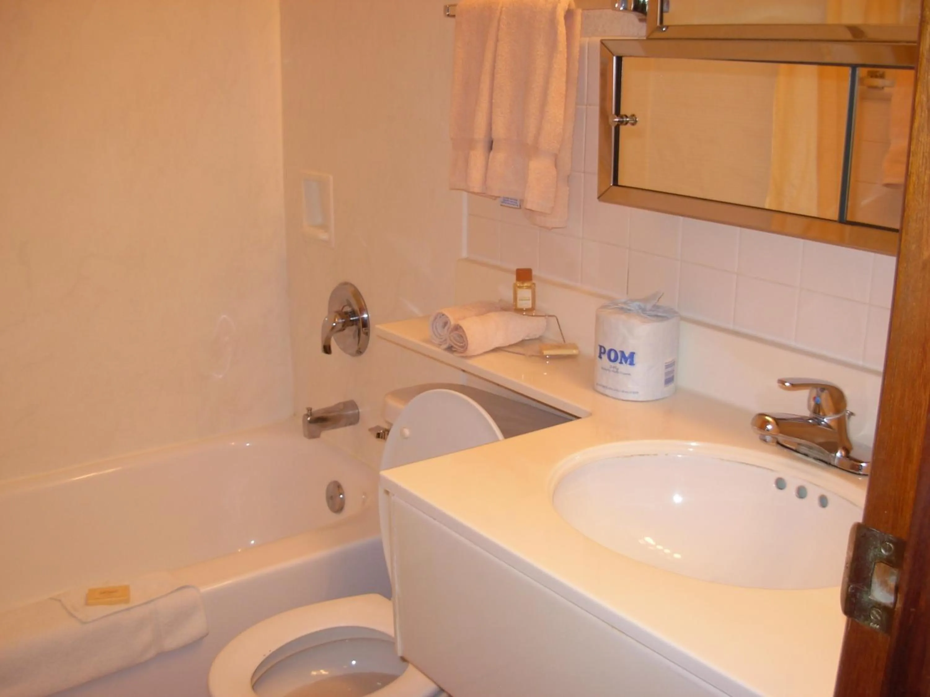 Bathroom in Red Carpet Motel - Knoxville