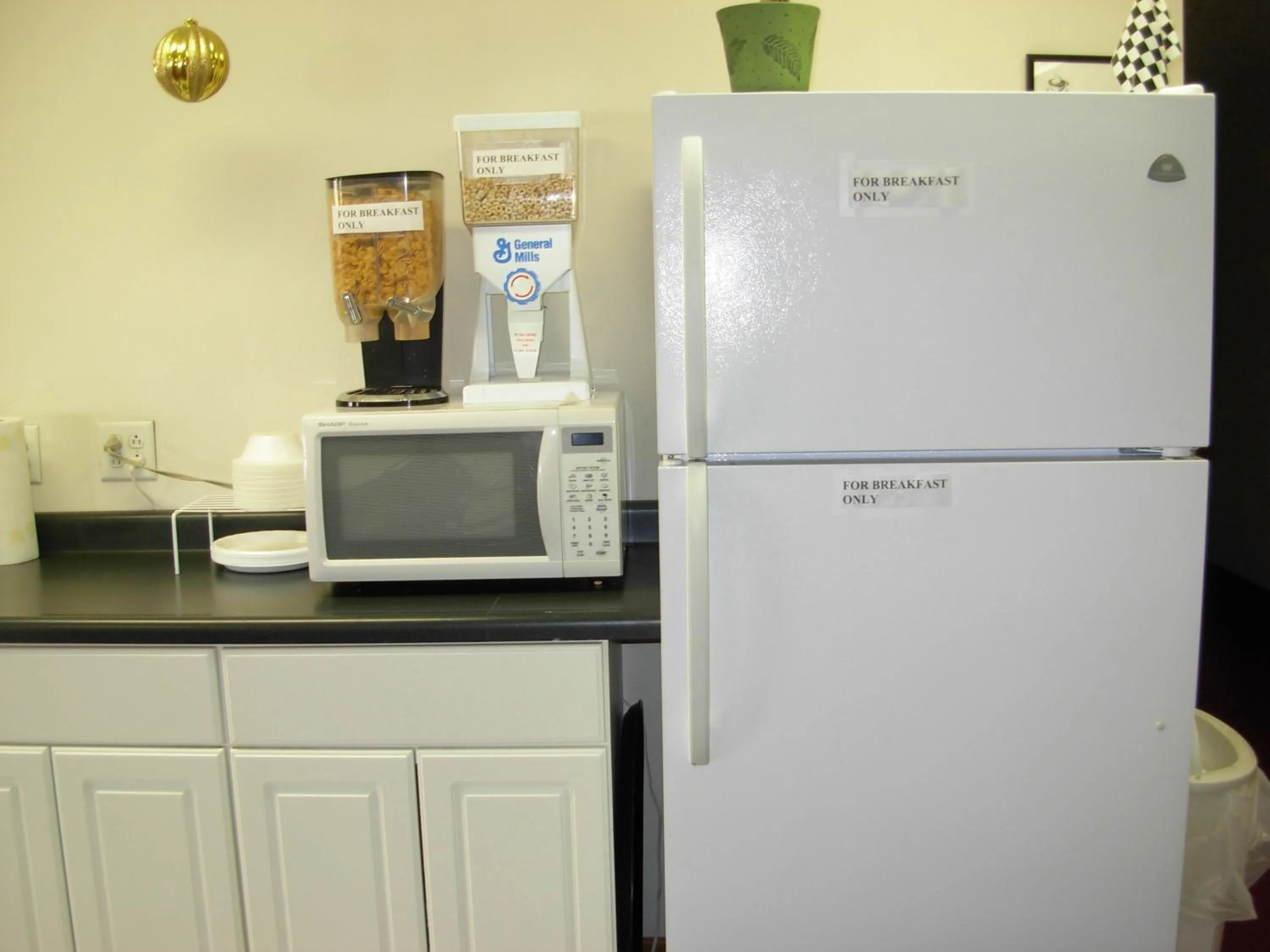 Kitchen/Kitchenette in Red Carpet Motel - Knoxville