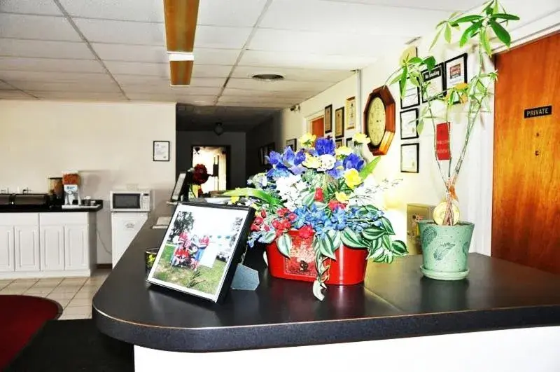 Lobby or reception, Lobby/Reception in Red Carpet Motel - Knoxville