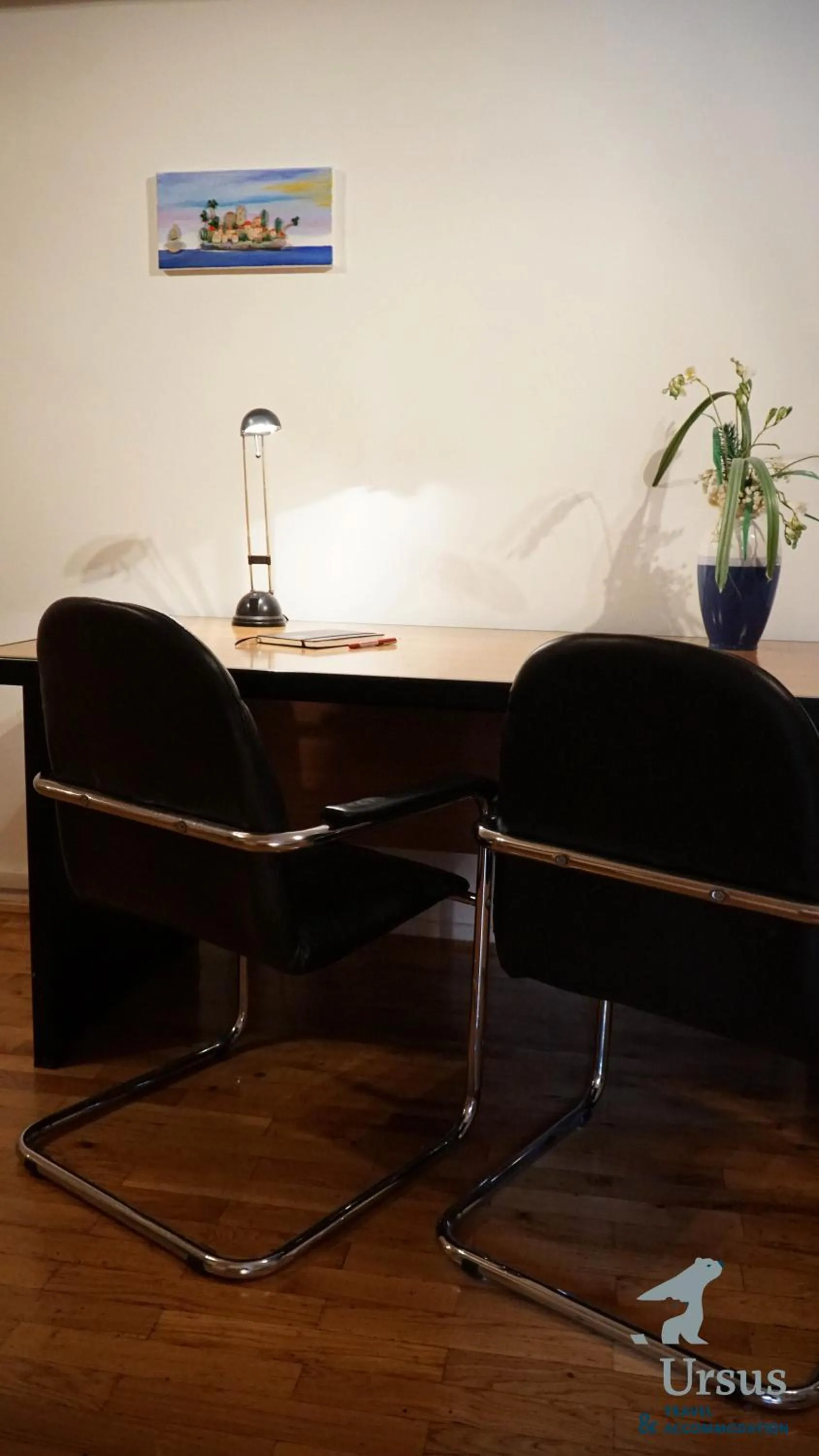 Business facilities in Duplex Apartment Tinel